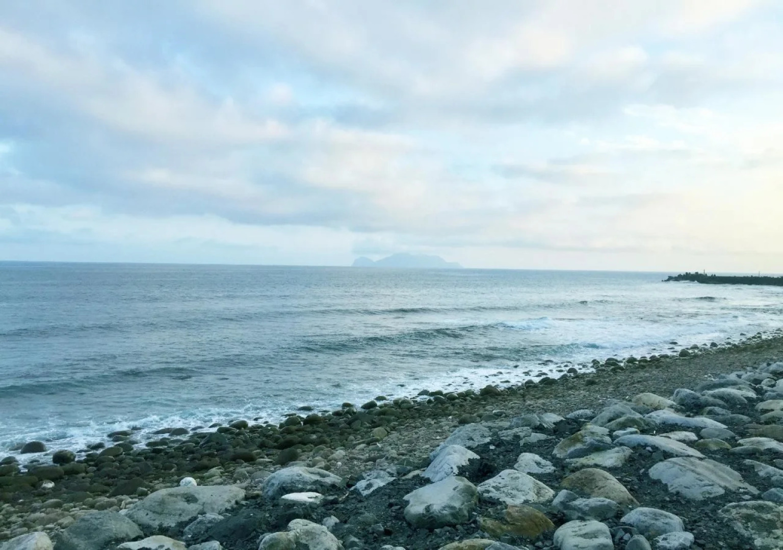 Migratory Birds Hotel