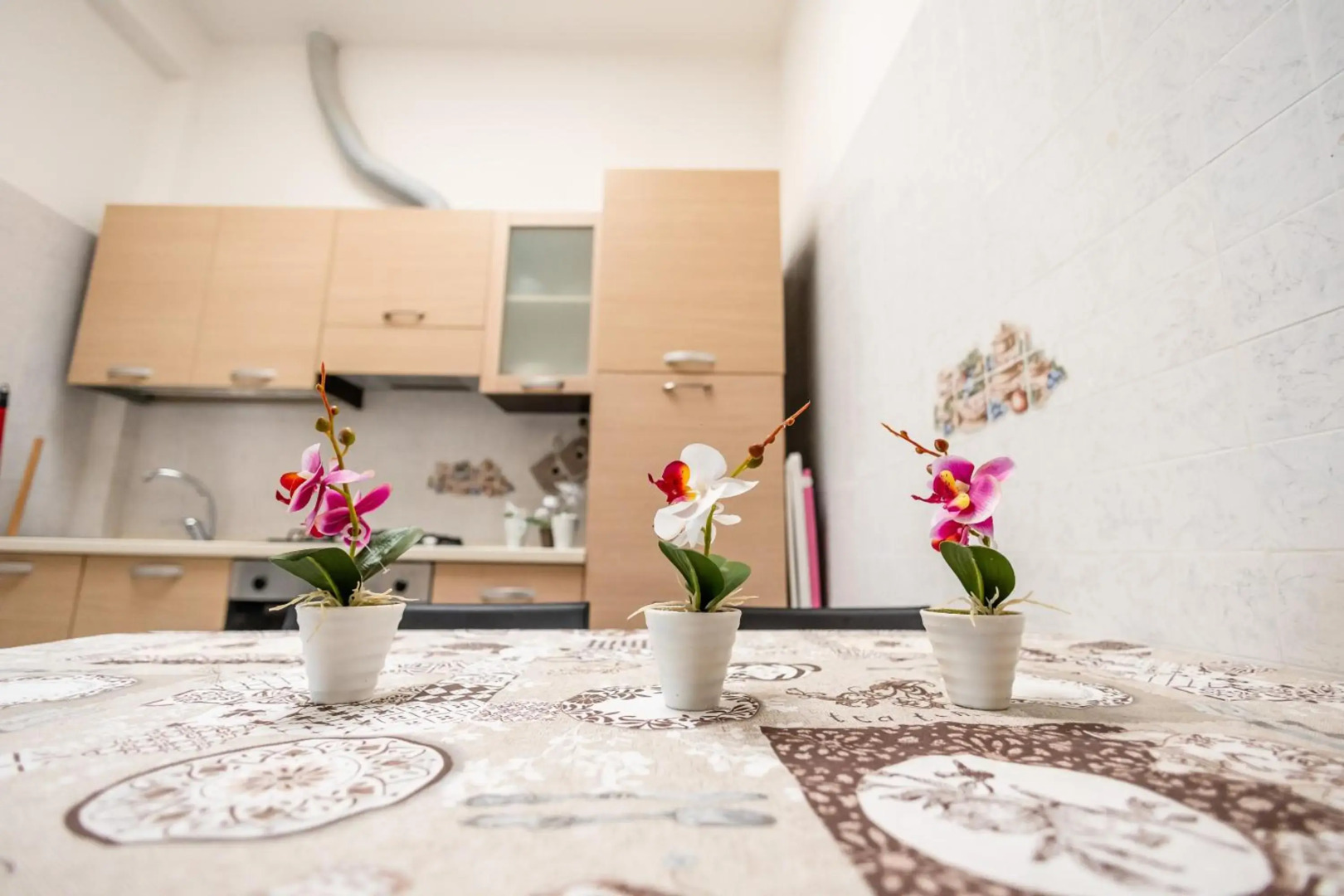 La Casetta in the Town - Gallipoli - Salento