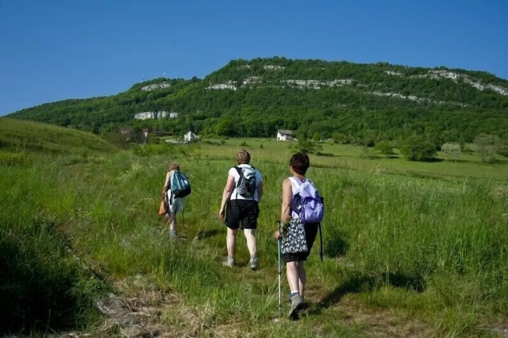 Hotel Restaurant Les Bergeronnettes