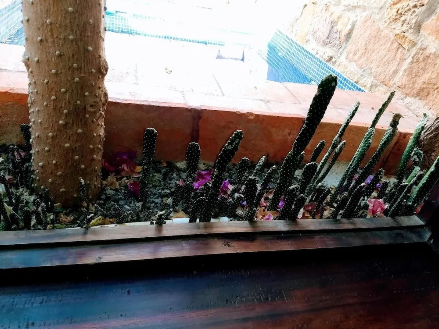 Achiotte Hotel Boutique