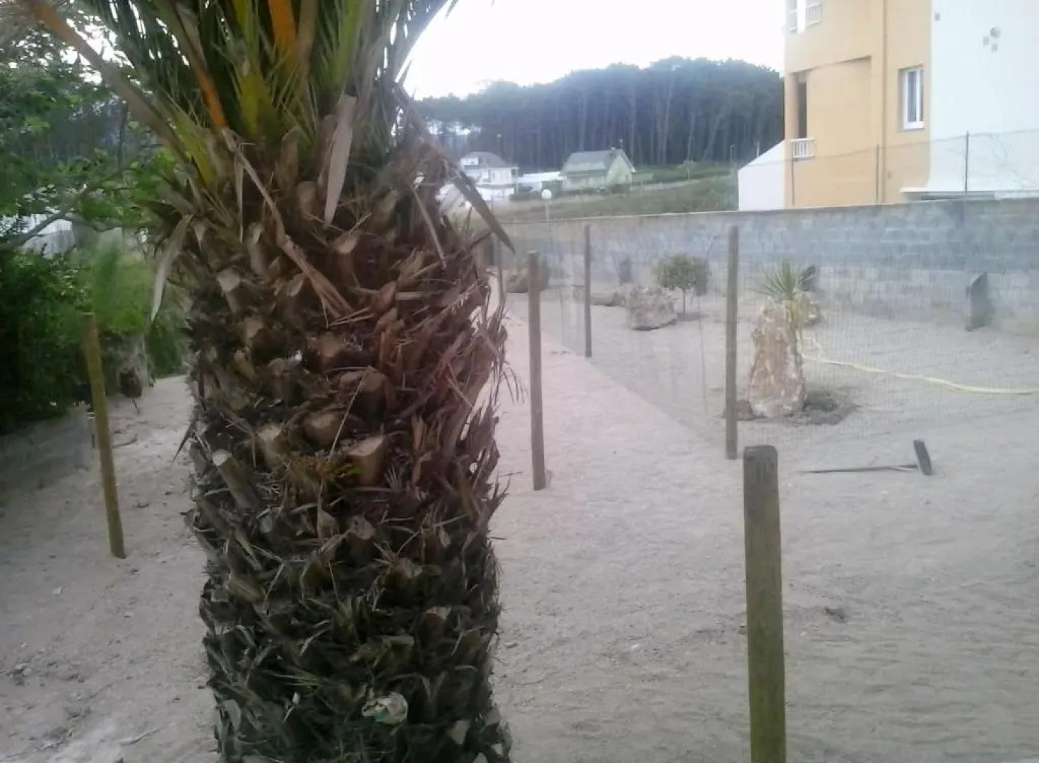 Apartamentos Alejandra