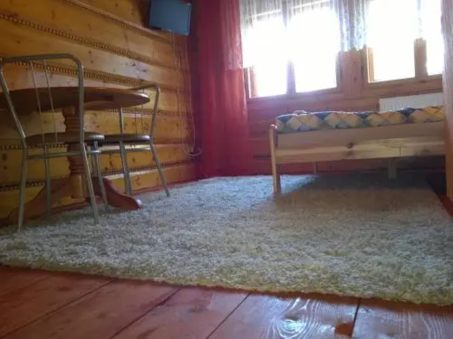 Pod Zielonym Bykiem