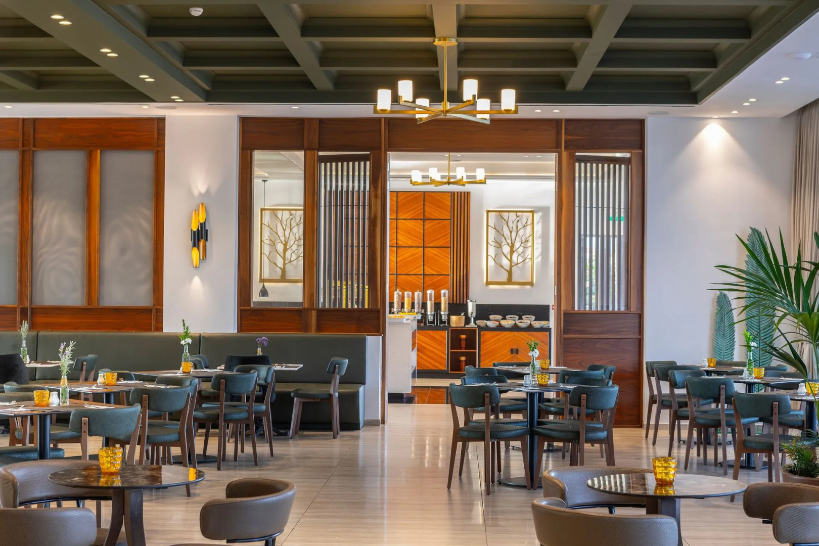 Aliathon Ionian Paphos