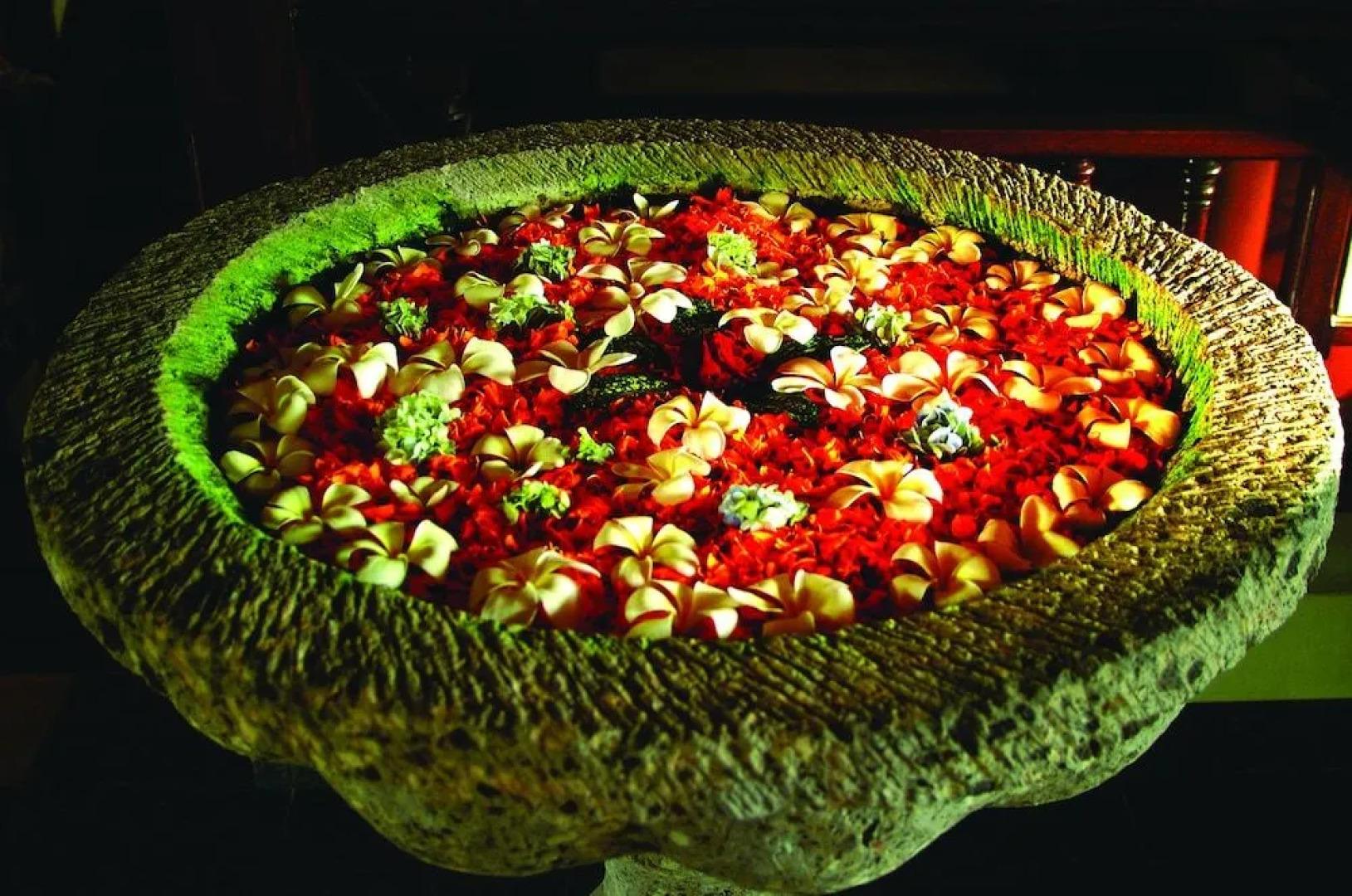 TreeHouse Hotel Club & Spa