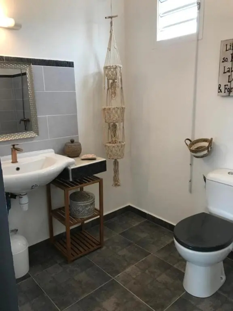 LES ALOÈS By CREYOL ANIMAL