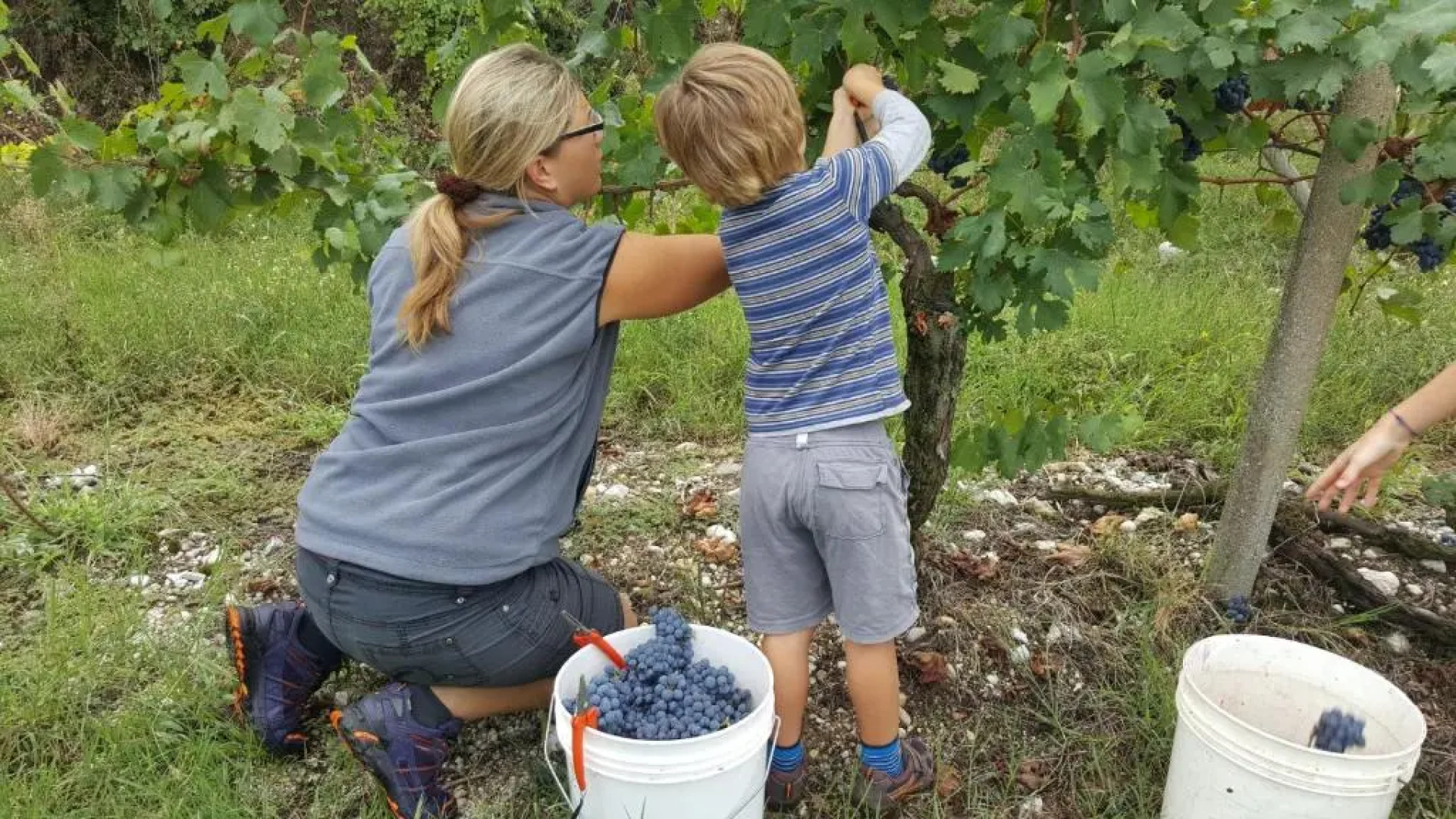 Agriturismo La Guarda