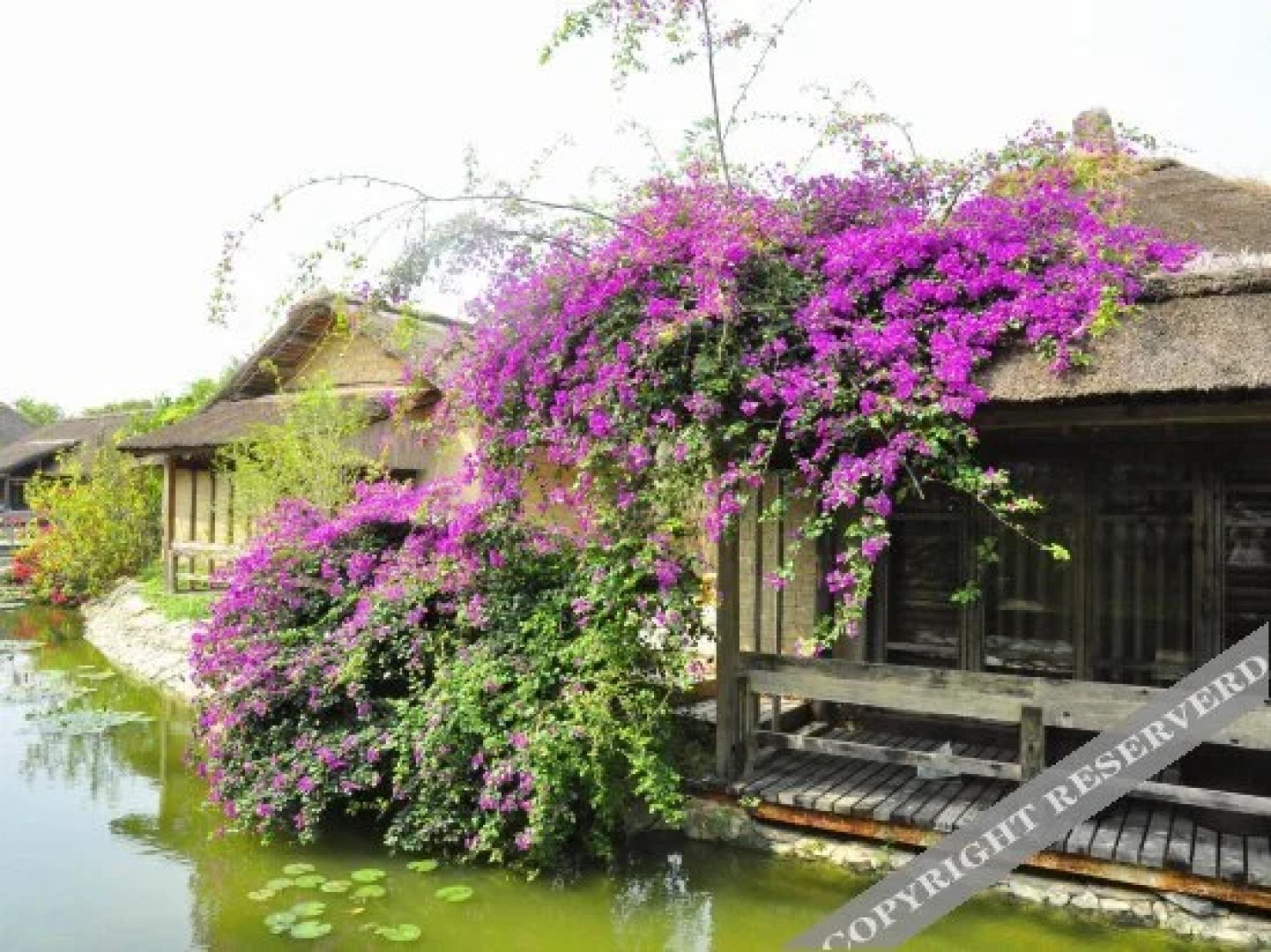 Techeng Island Resort