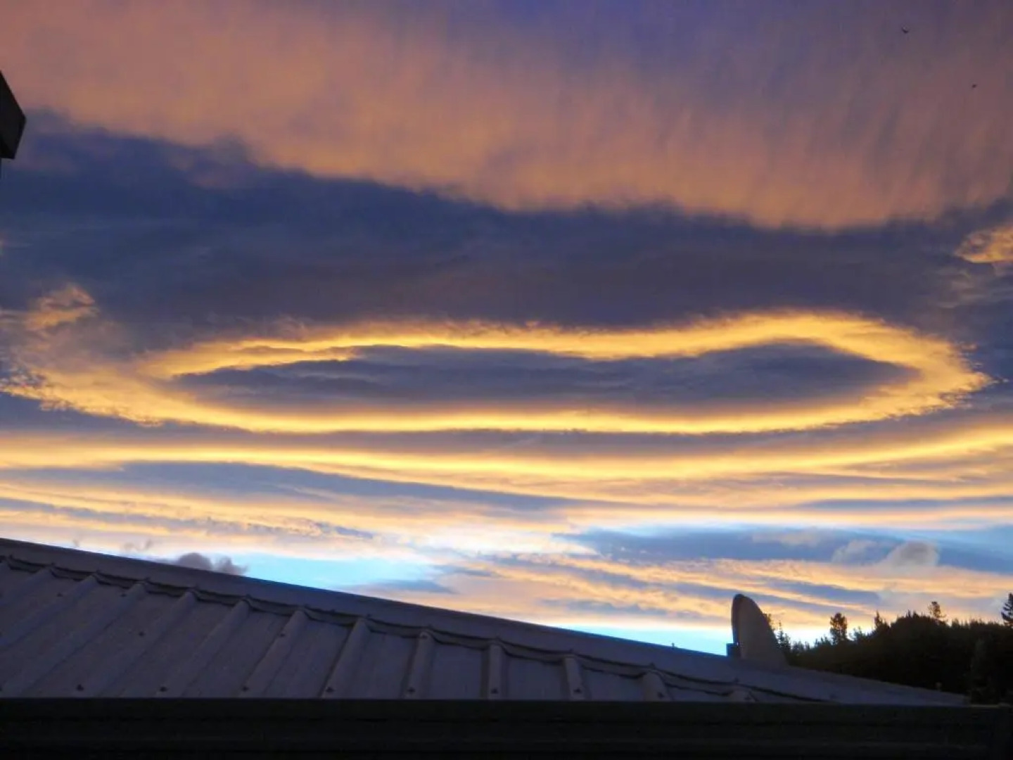 BEACH FRONT:Palms-on-the-beach.KAITERITERI.