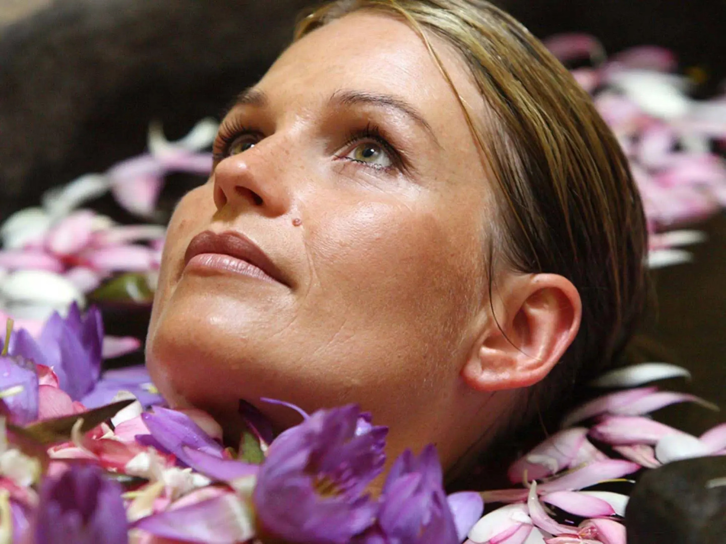 Siddhalepa Ayurveda Resort - All Meals, Ayurveda Treatment, Yoga