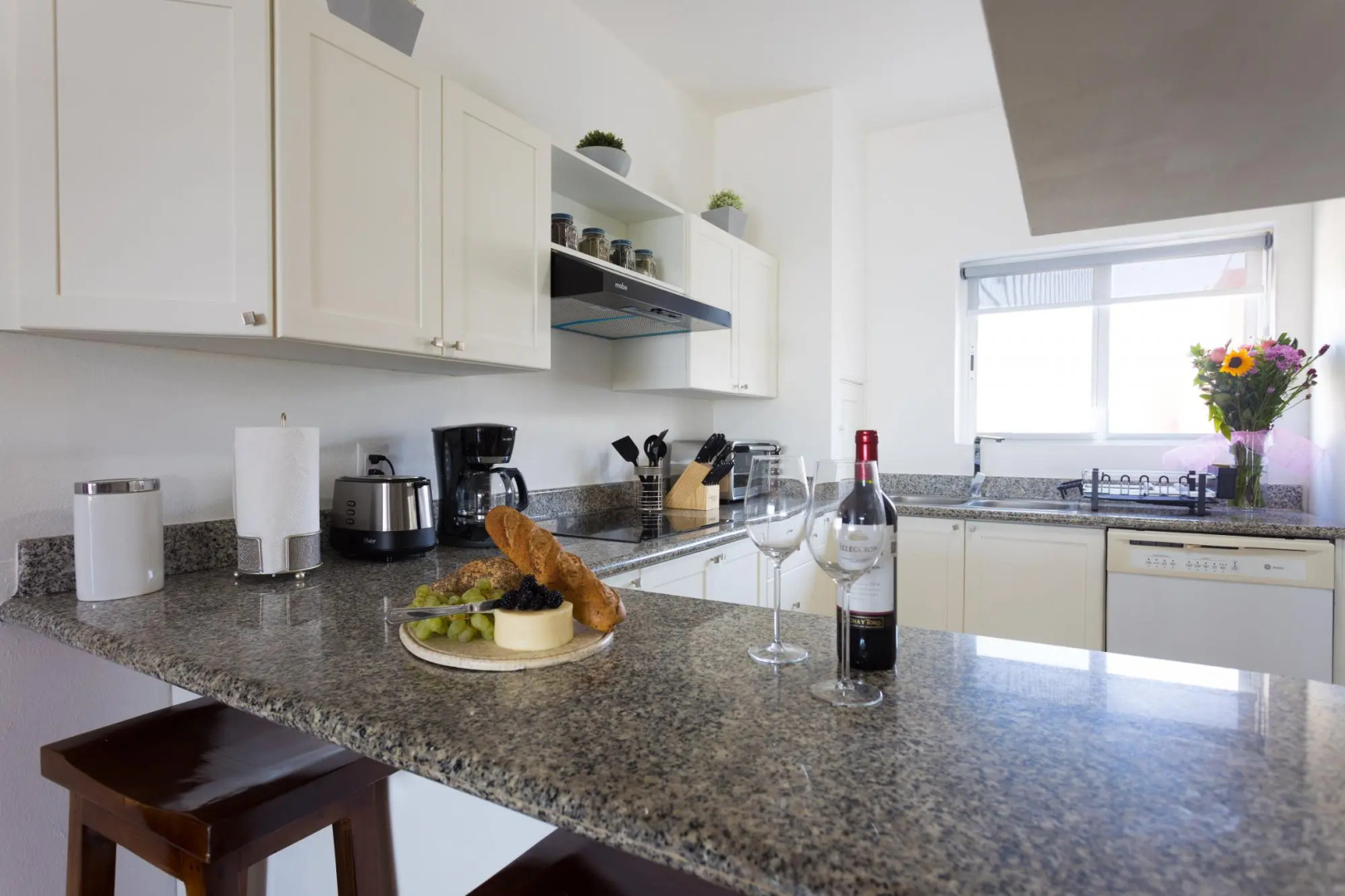 Flamingos Conchas 502