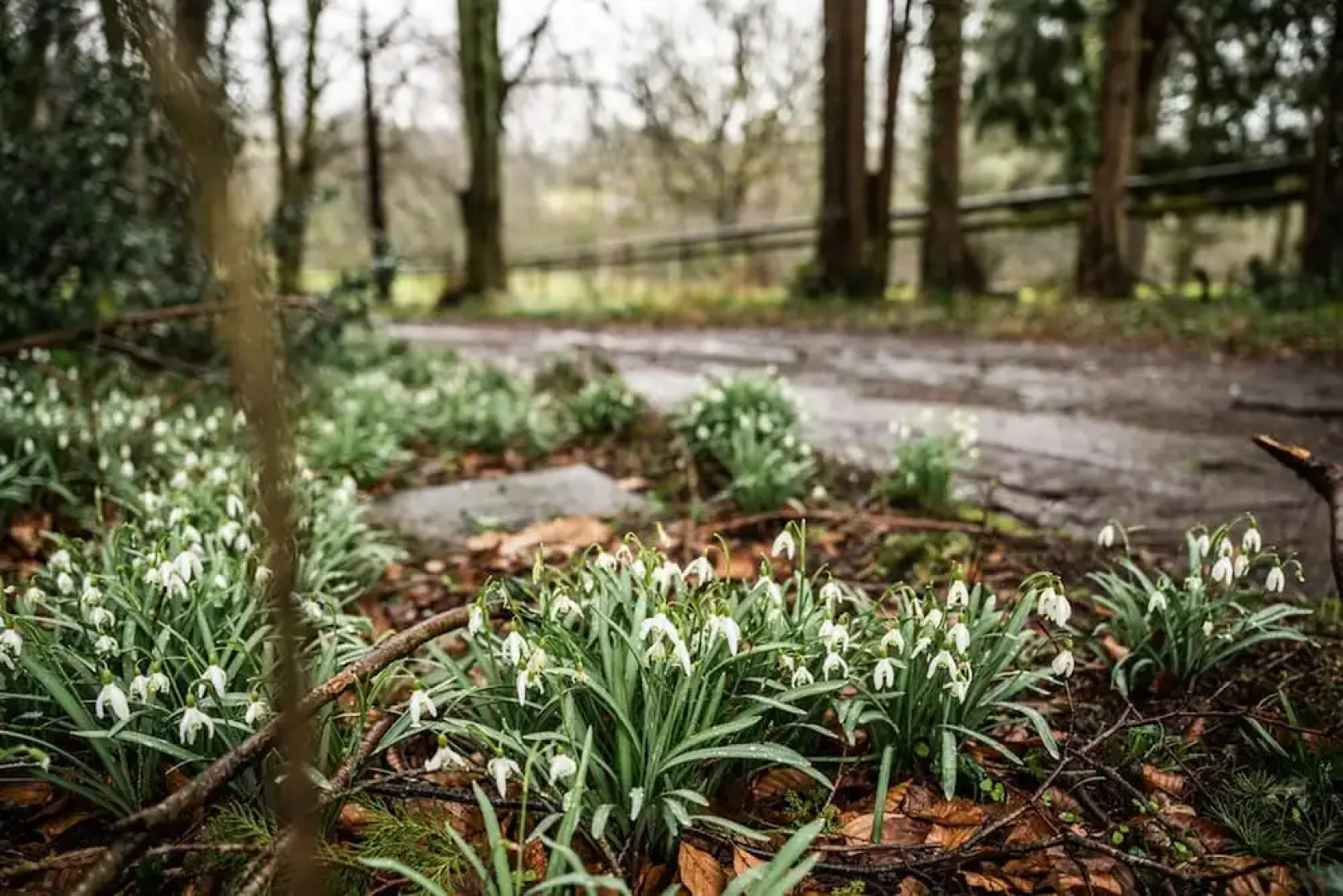 West Down Farm - B&B