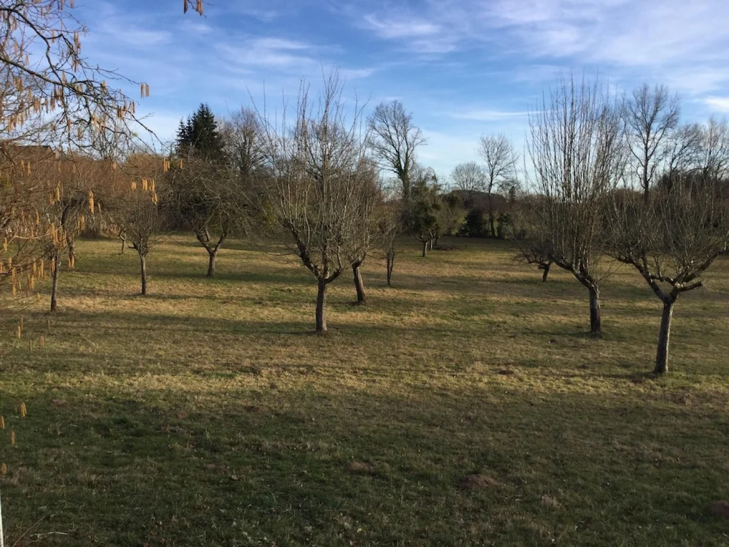 House With 6 Bedrooms in Veyrières, With Enclosed Garden and Wifi - 15