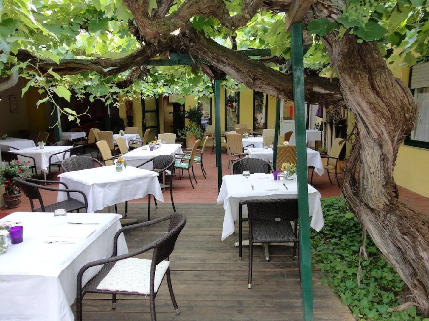 Landgasthof Zum Alten Weinstock