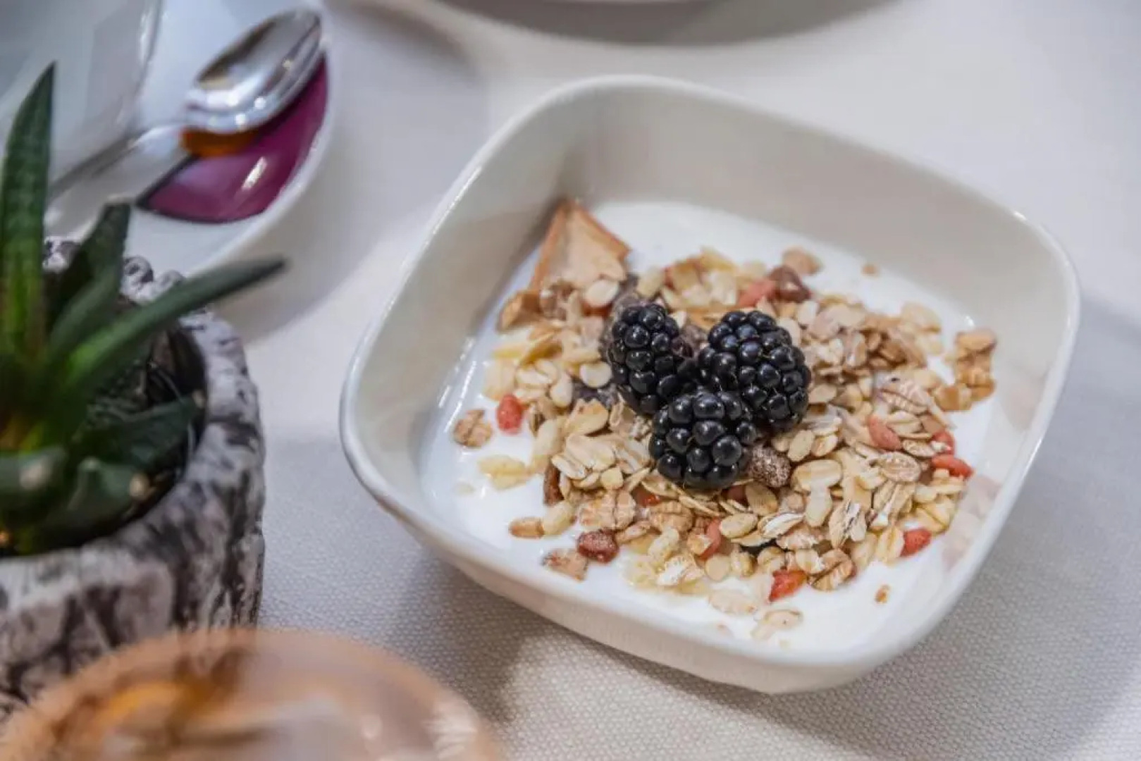 Appartamenti Decarli