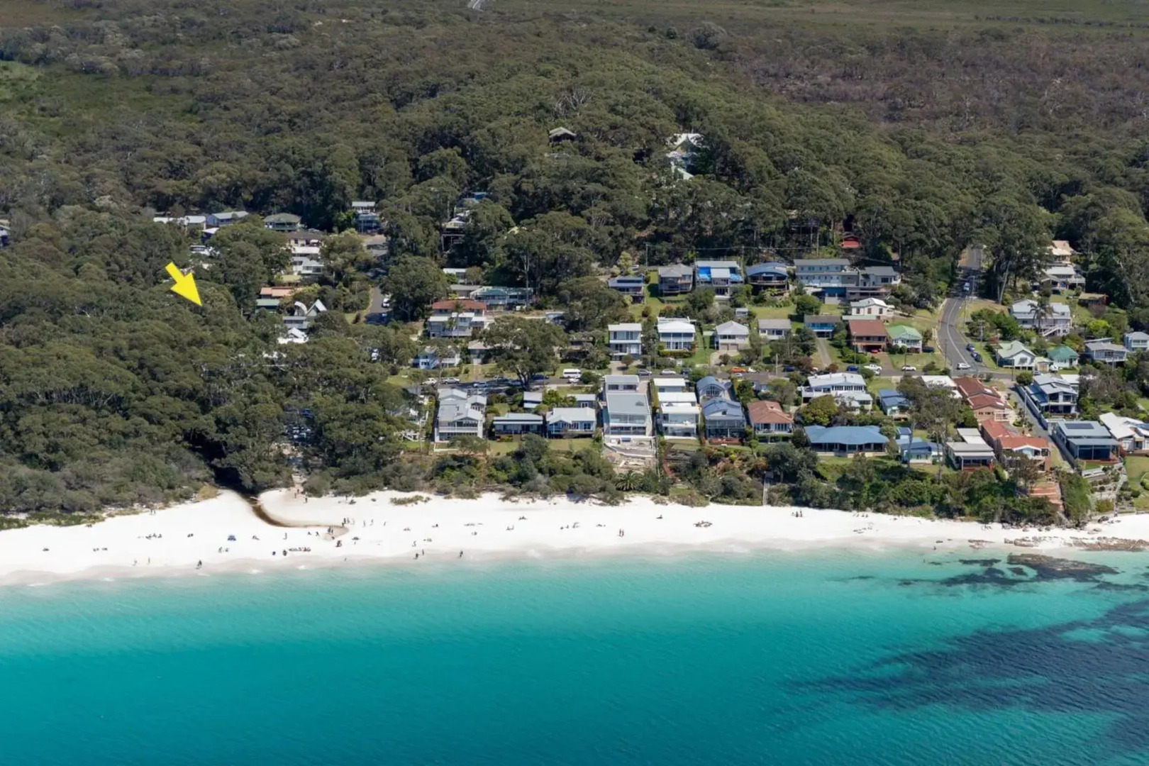 Birdsong at Hyams Beach 4pm Check Out Sundays