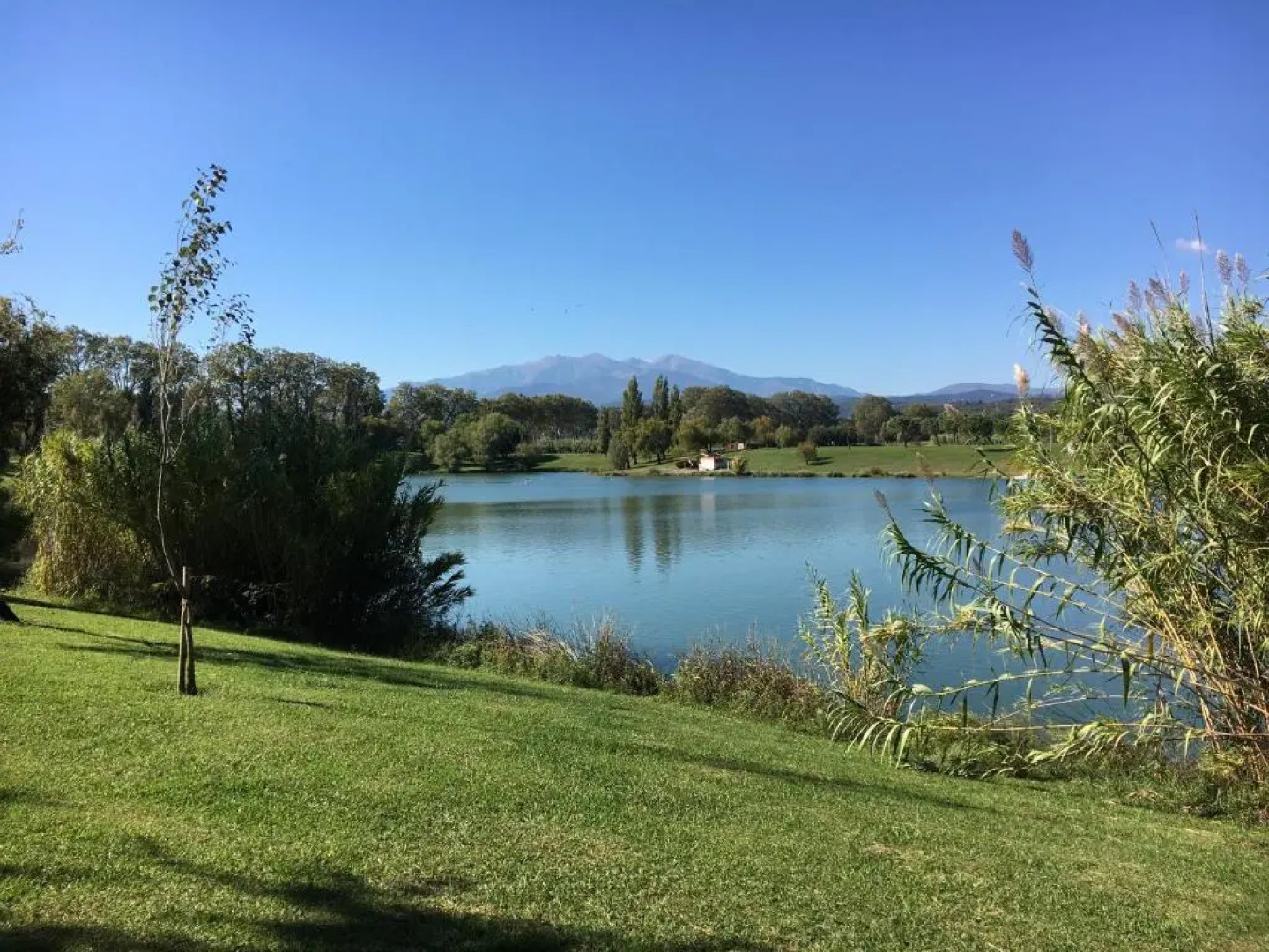 Les Mimosas Apartments