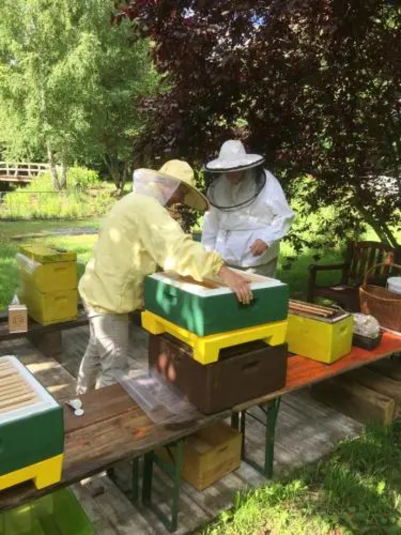 Ferienwohnungen direkt am Wasser