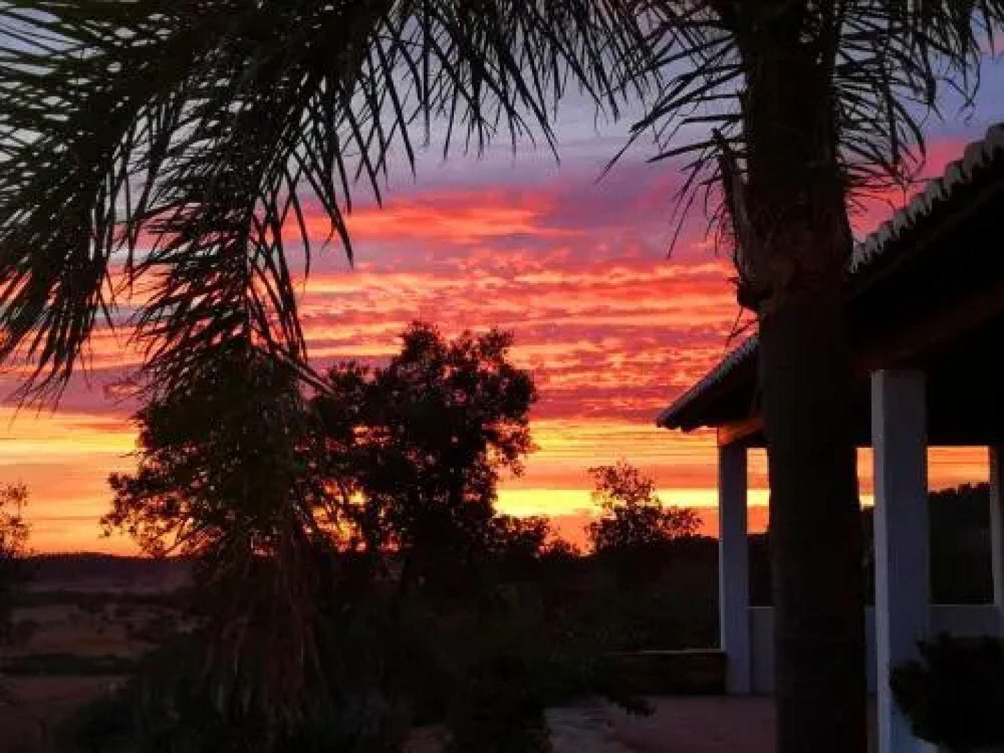 Sharish - Monte Das Estevas