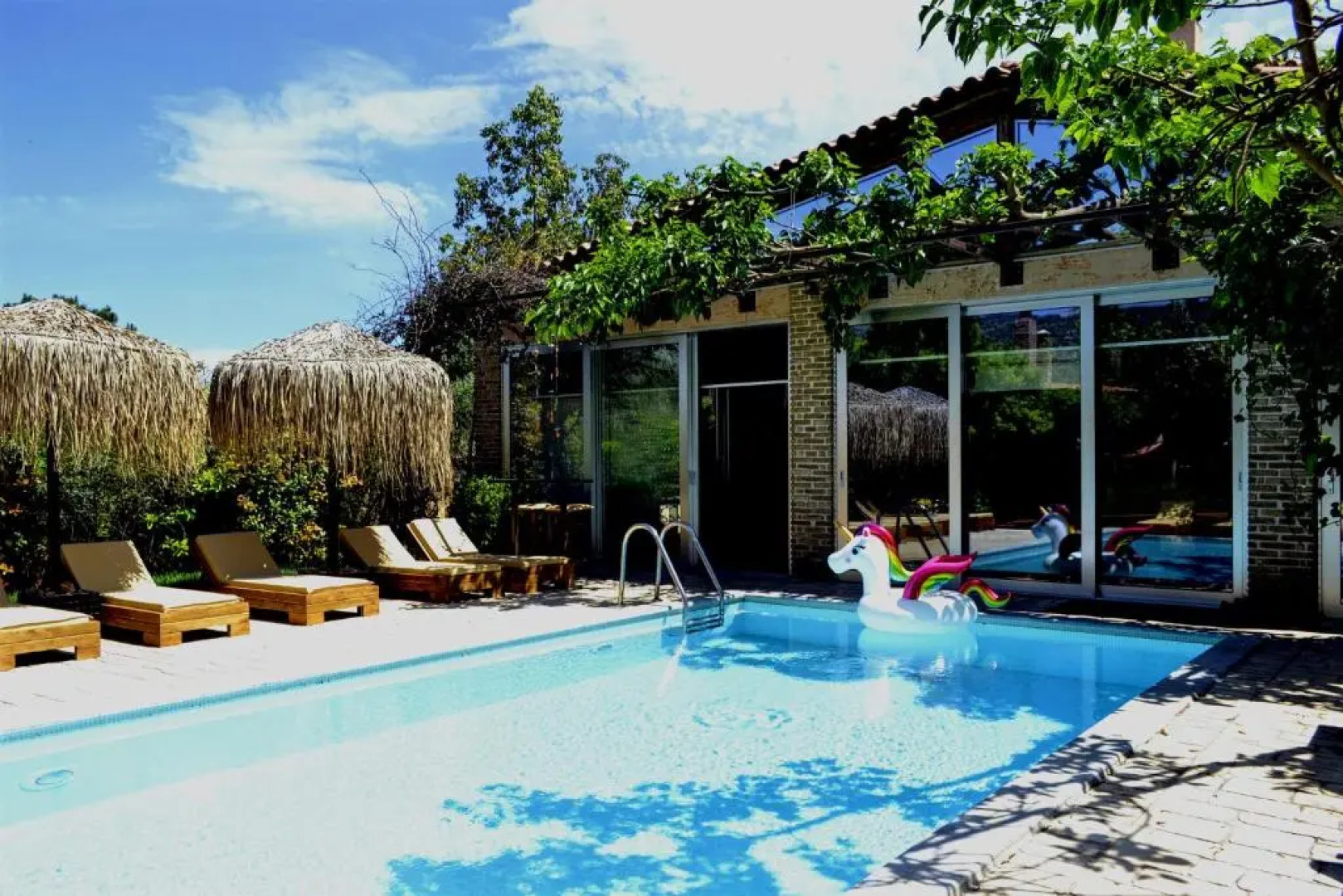 Turdus Merula Retreat