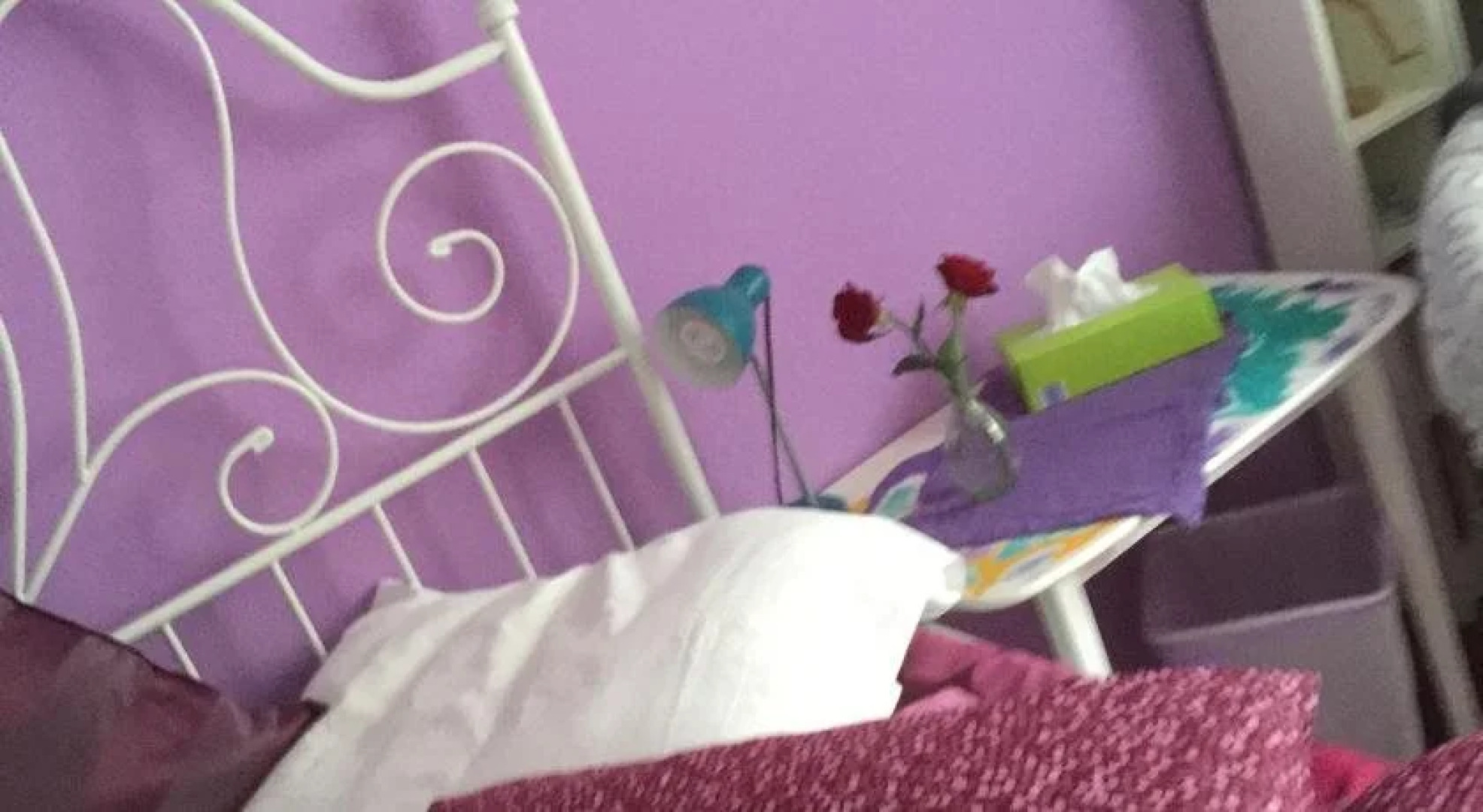 Trimbach Heights Bed And Breakfast