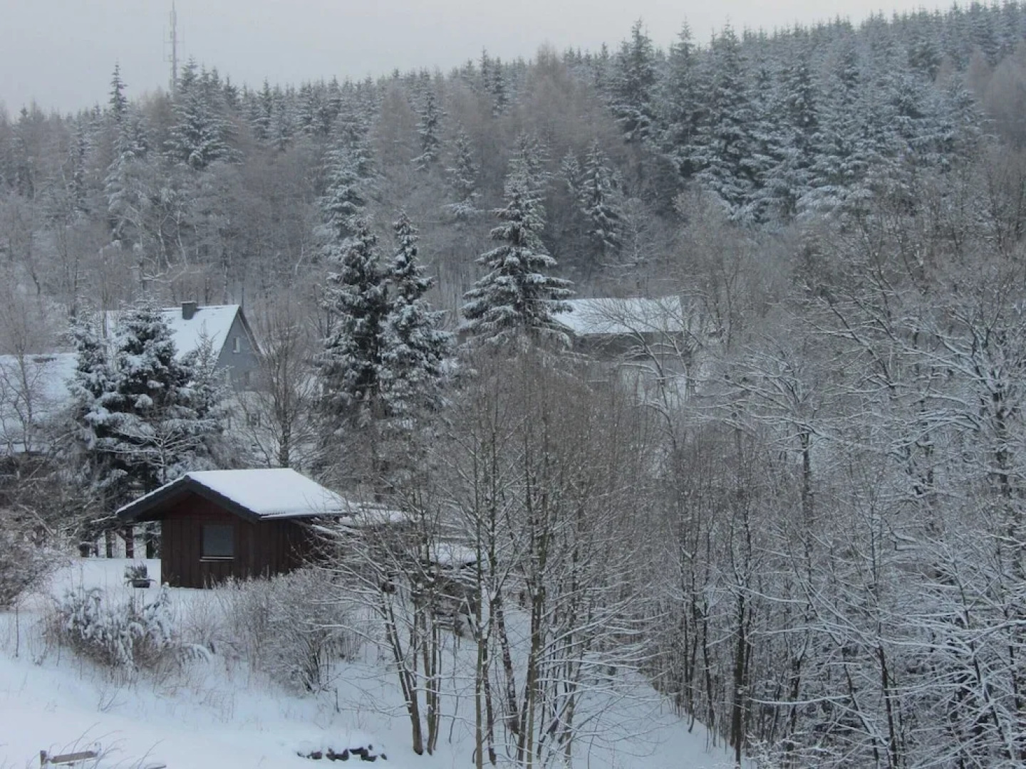 Chic Holiday Home in Medebach Germany near Ski Area