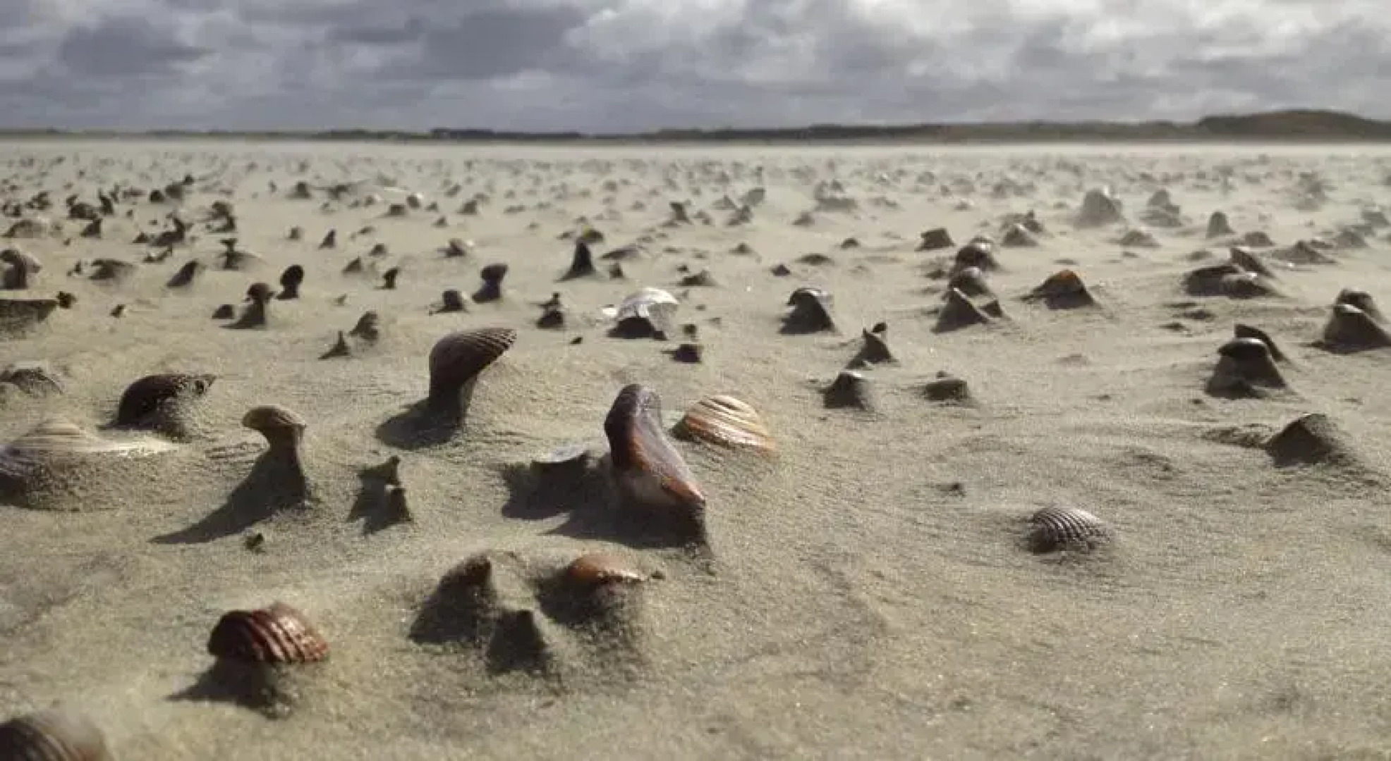 Ferienhaus Käptns Hus