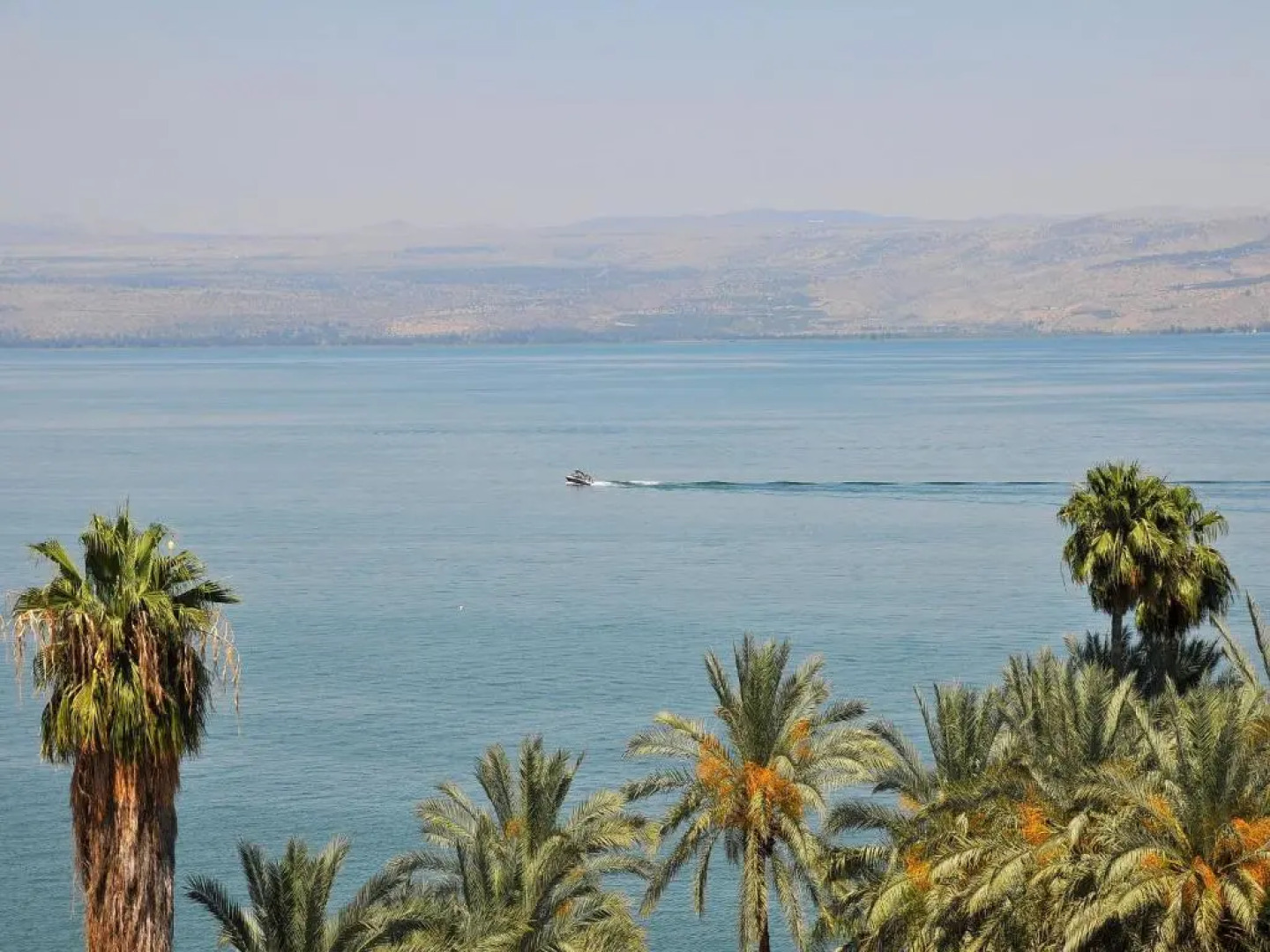 Family Vacation by Lake Kinneret