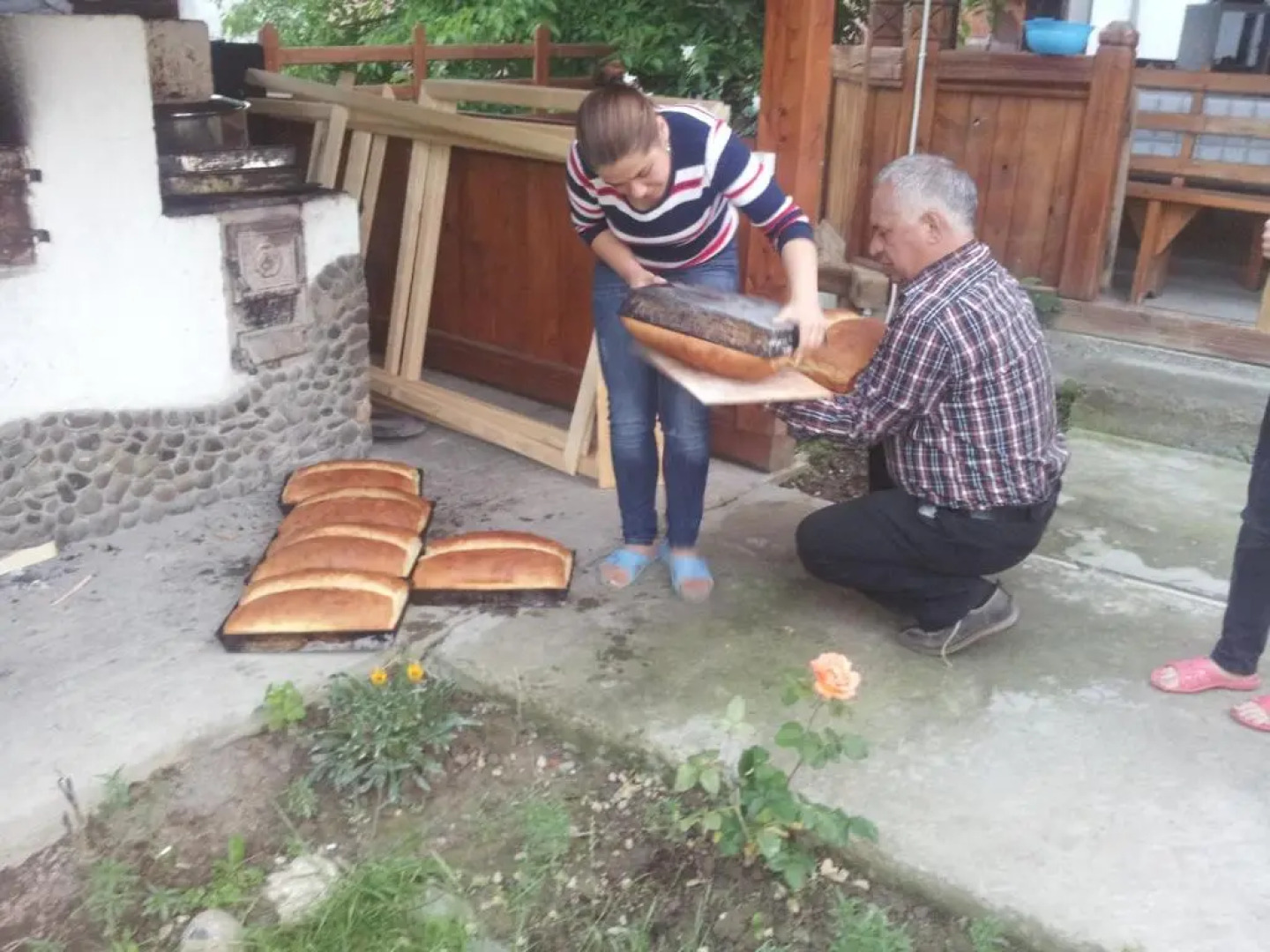 Pensiunea Teodora Teleptean