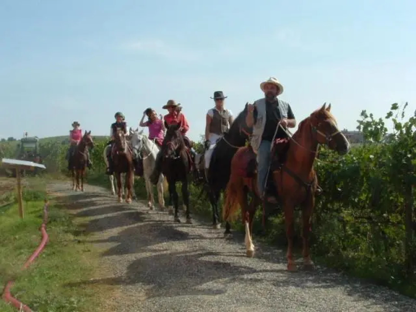 Agriturismo Pian dei Pini