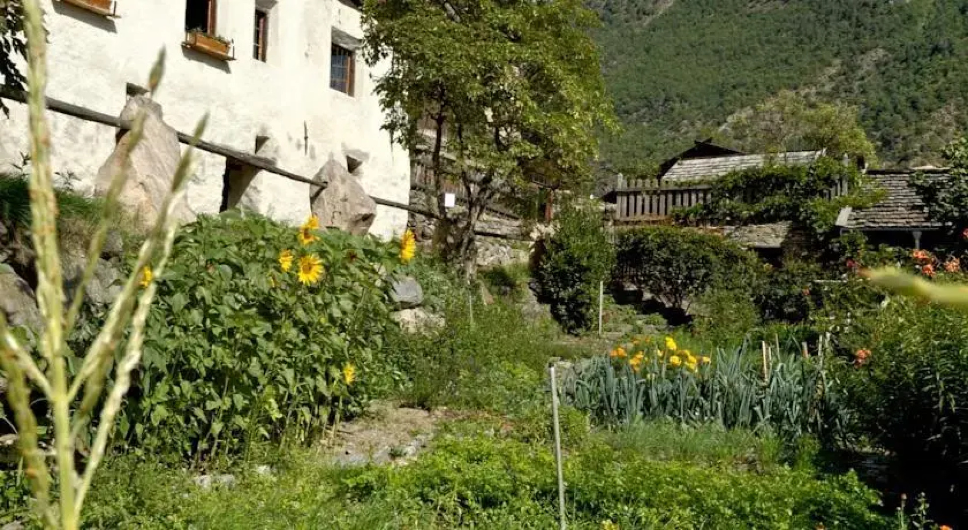 Schlosswirt-Oberortl Juval