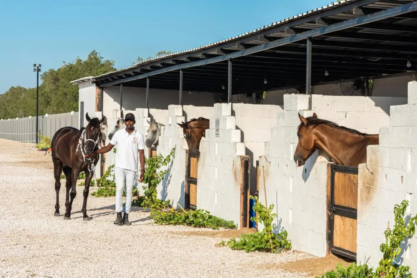 Hdb Resort & Spa Alkhobar