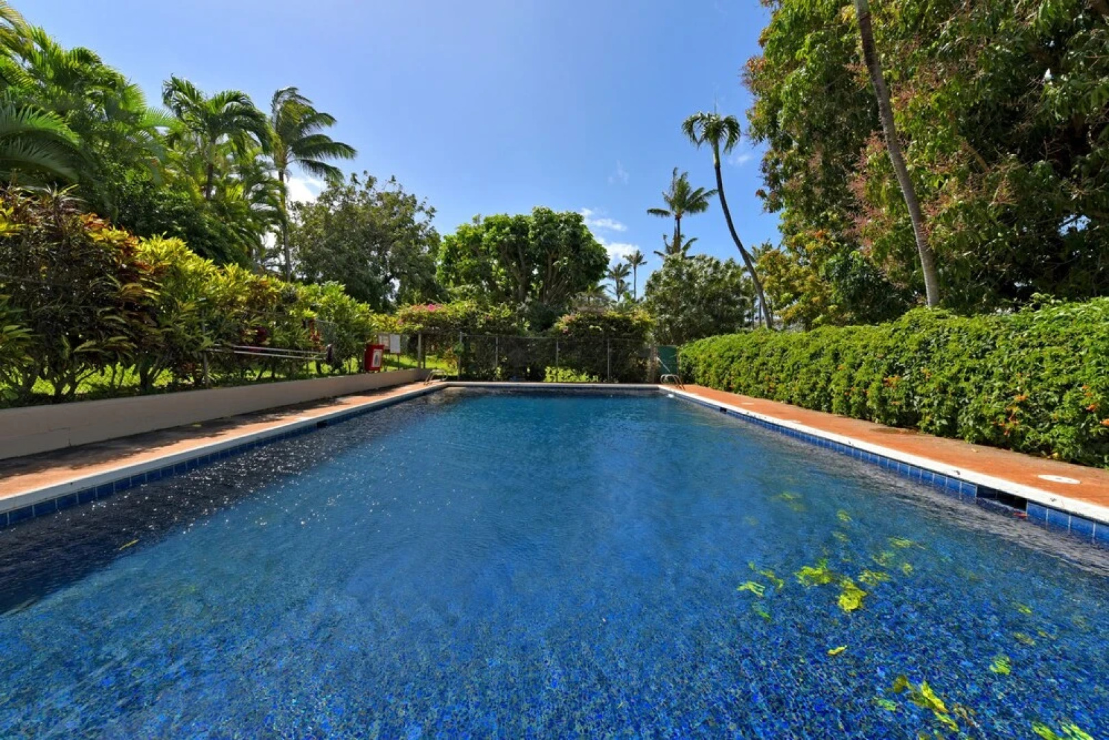 Pohailani 131 by RedAwning