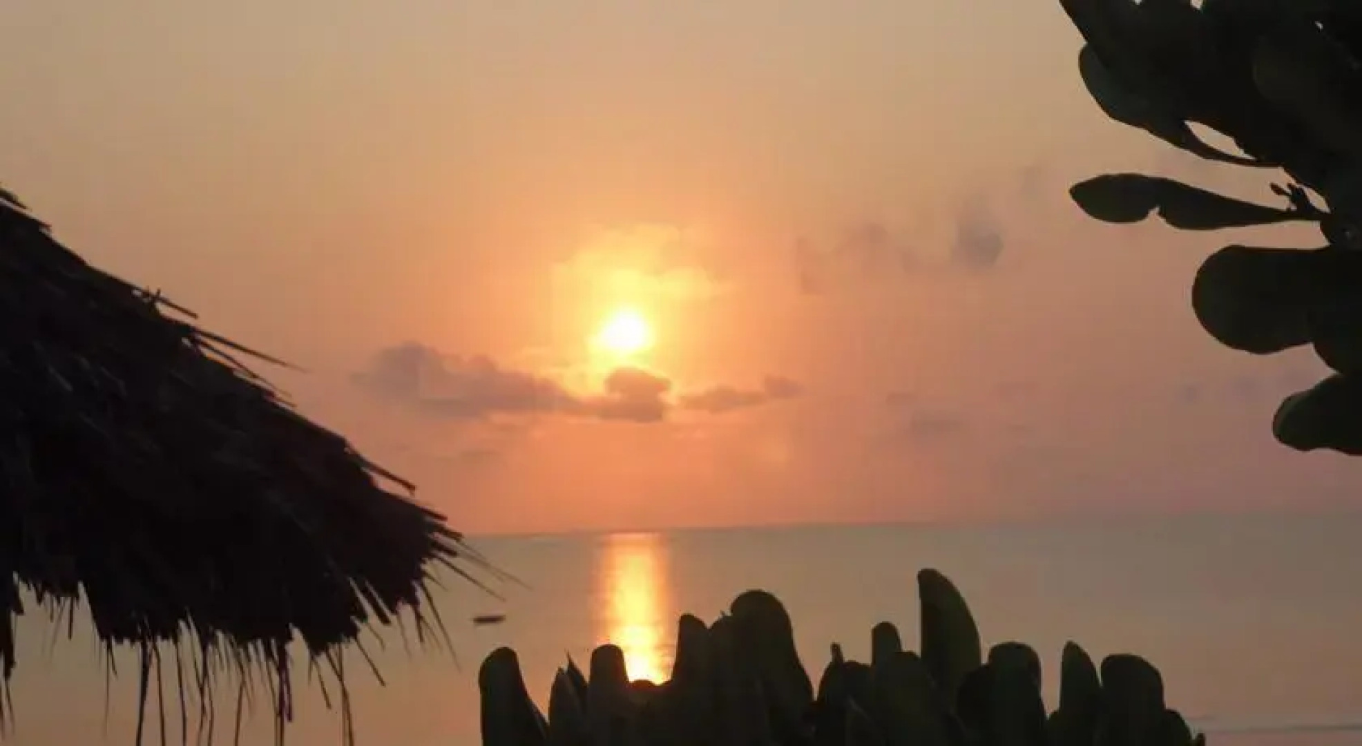 ONE LOVE Beach House Zanzibar