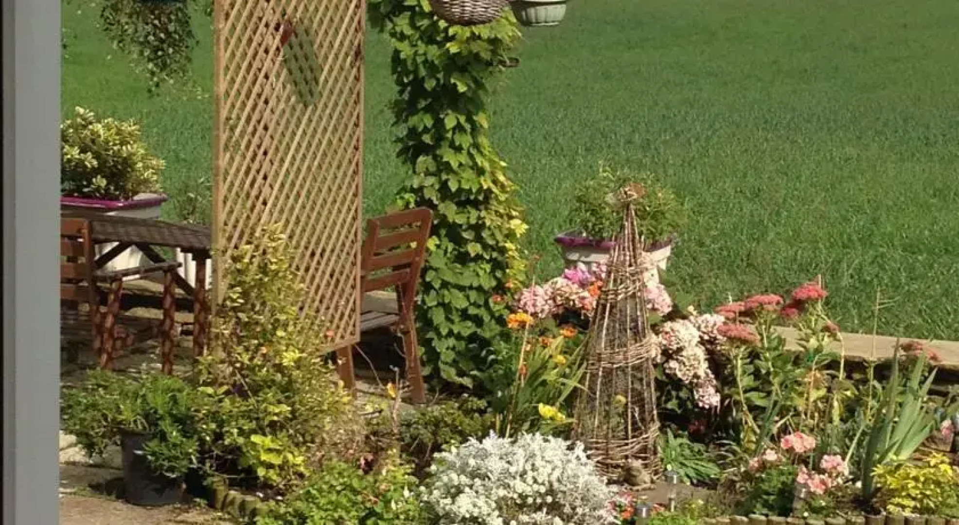 Field View House B&B