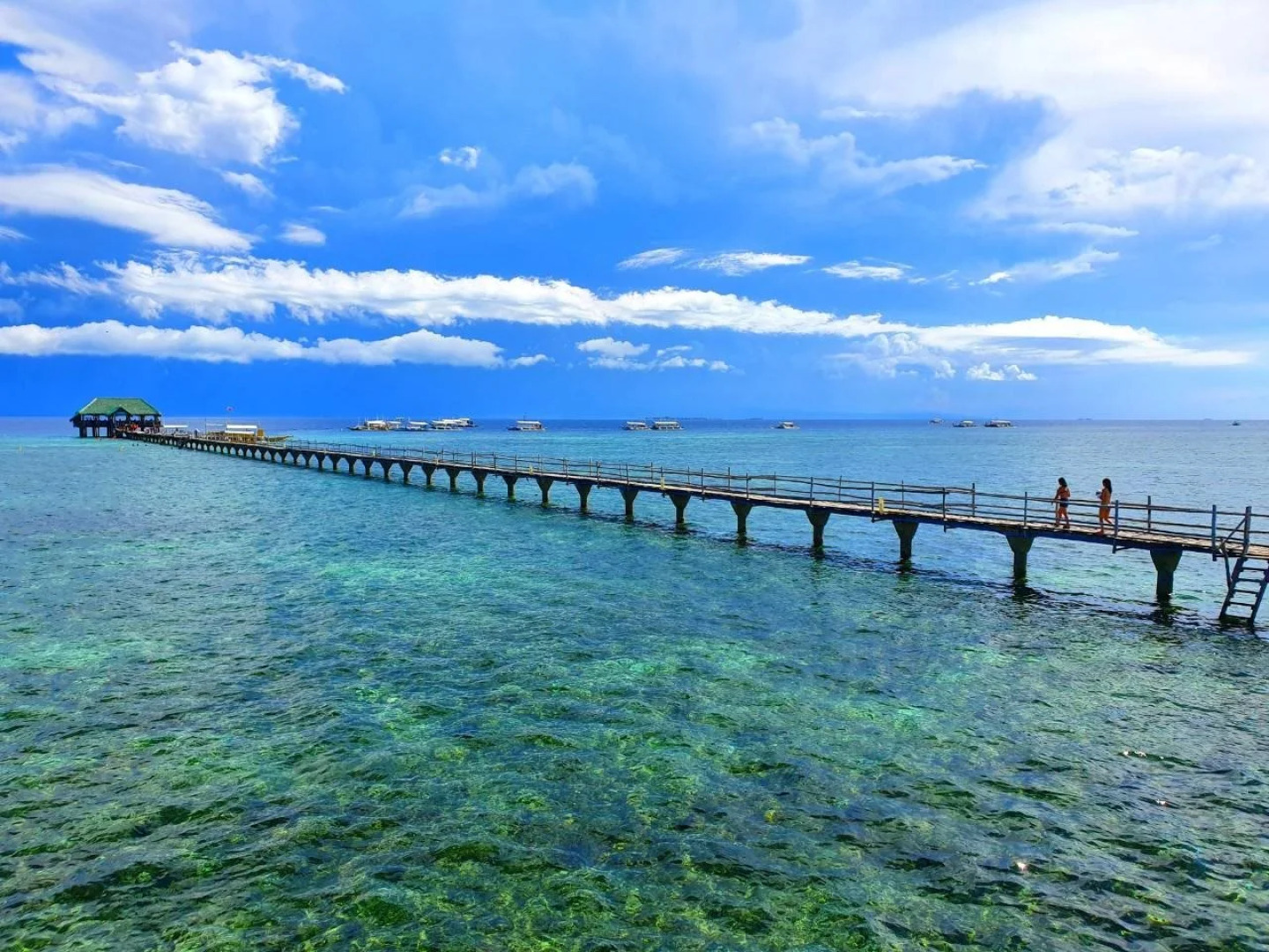 Nalusuan Island Resort and Marine Sanctuary