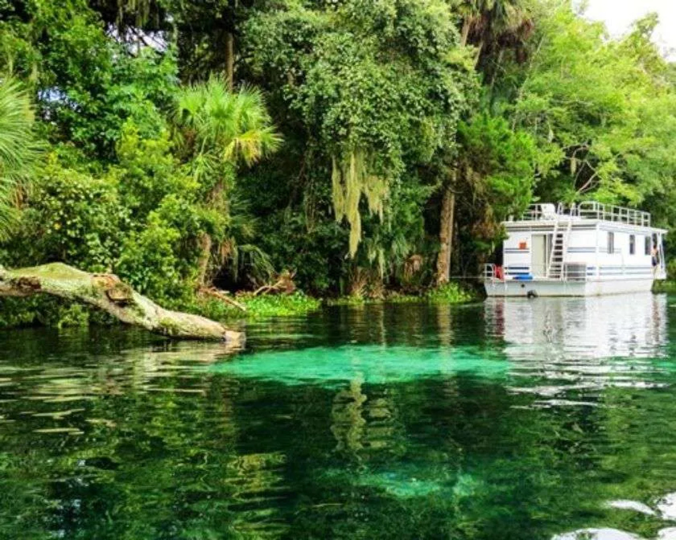 Grand Lakefront Resort Club Usa / Holly Bluff Mari