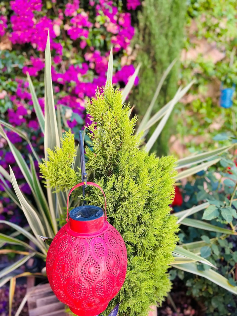 Self Catering Garden Apartment with a Private Garden and Shared Pool