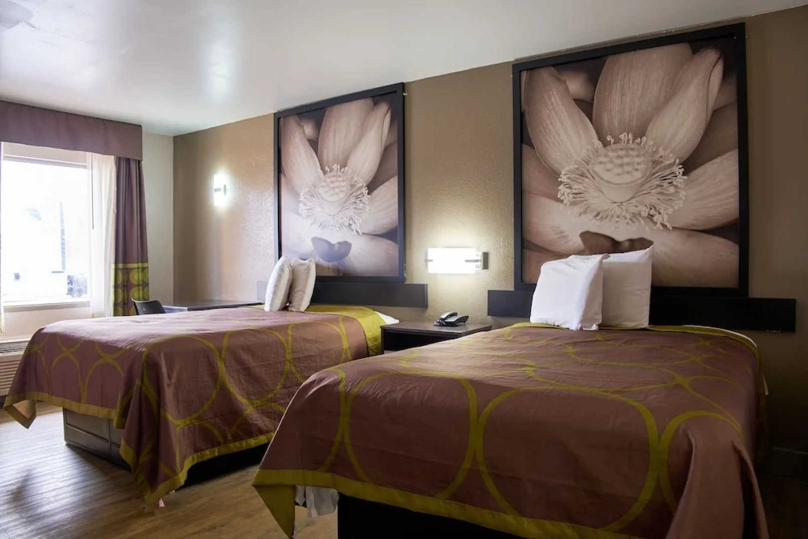 Super 8 Roanoke Rapids