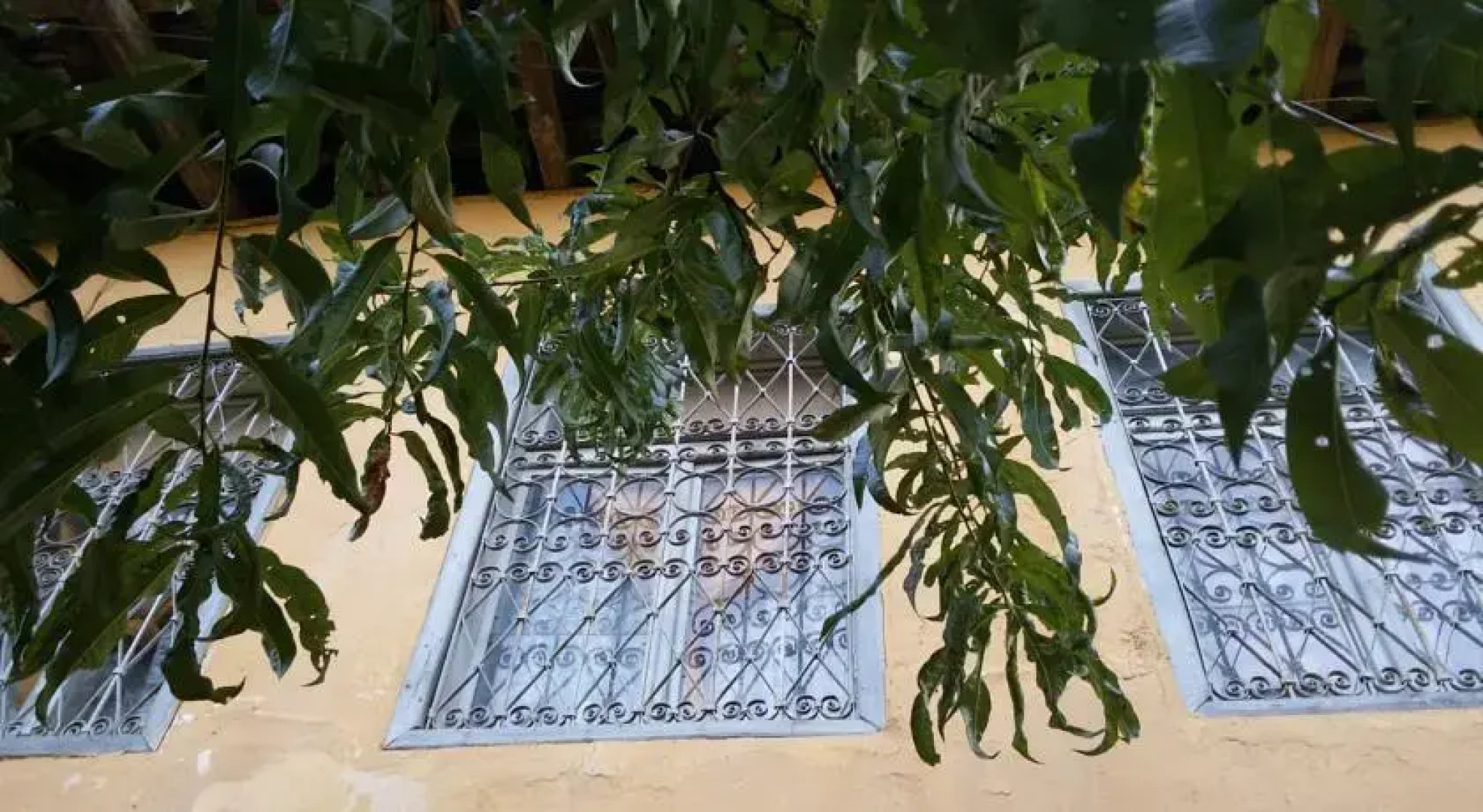 Guest House City Shkodra