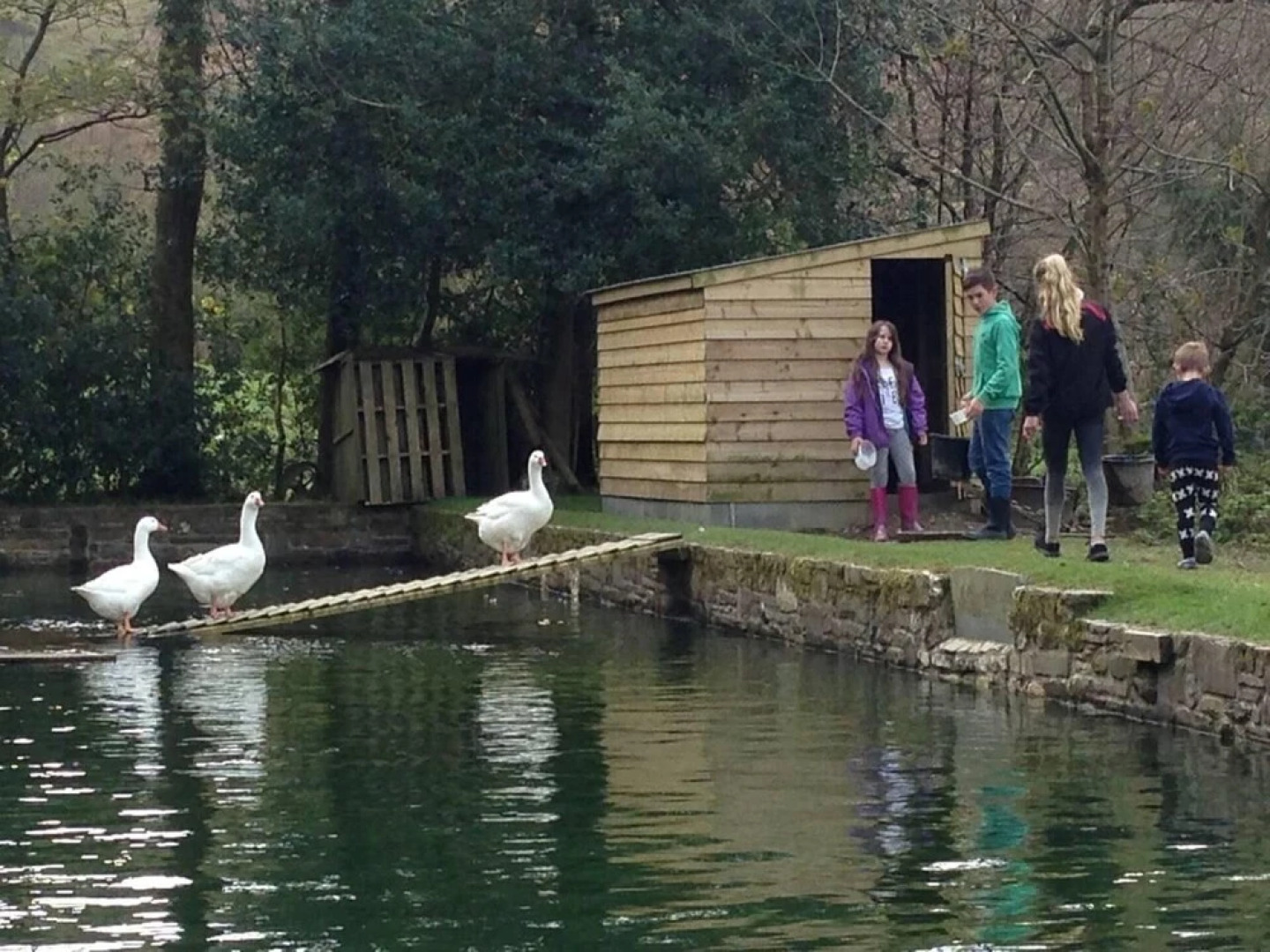 The Mill House at Cwmiar Farm - Relaxing Holidays