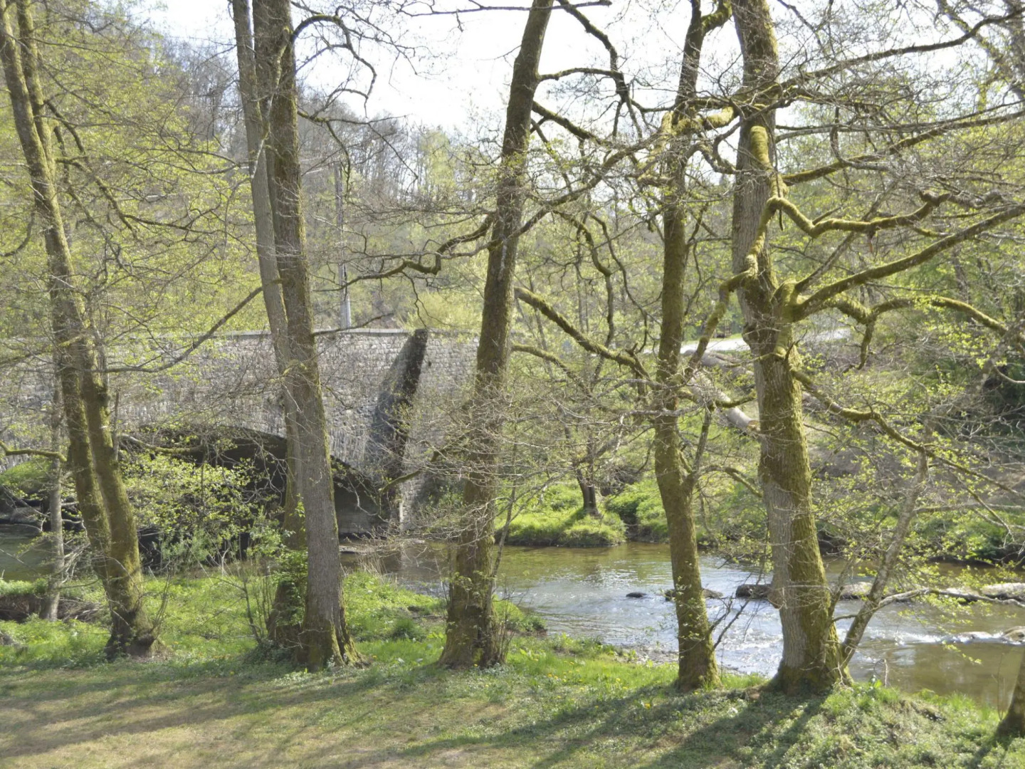 Pet-friendly Escape in Fauvillers