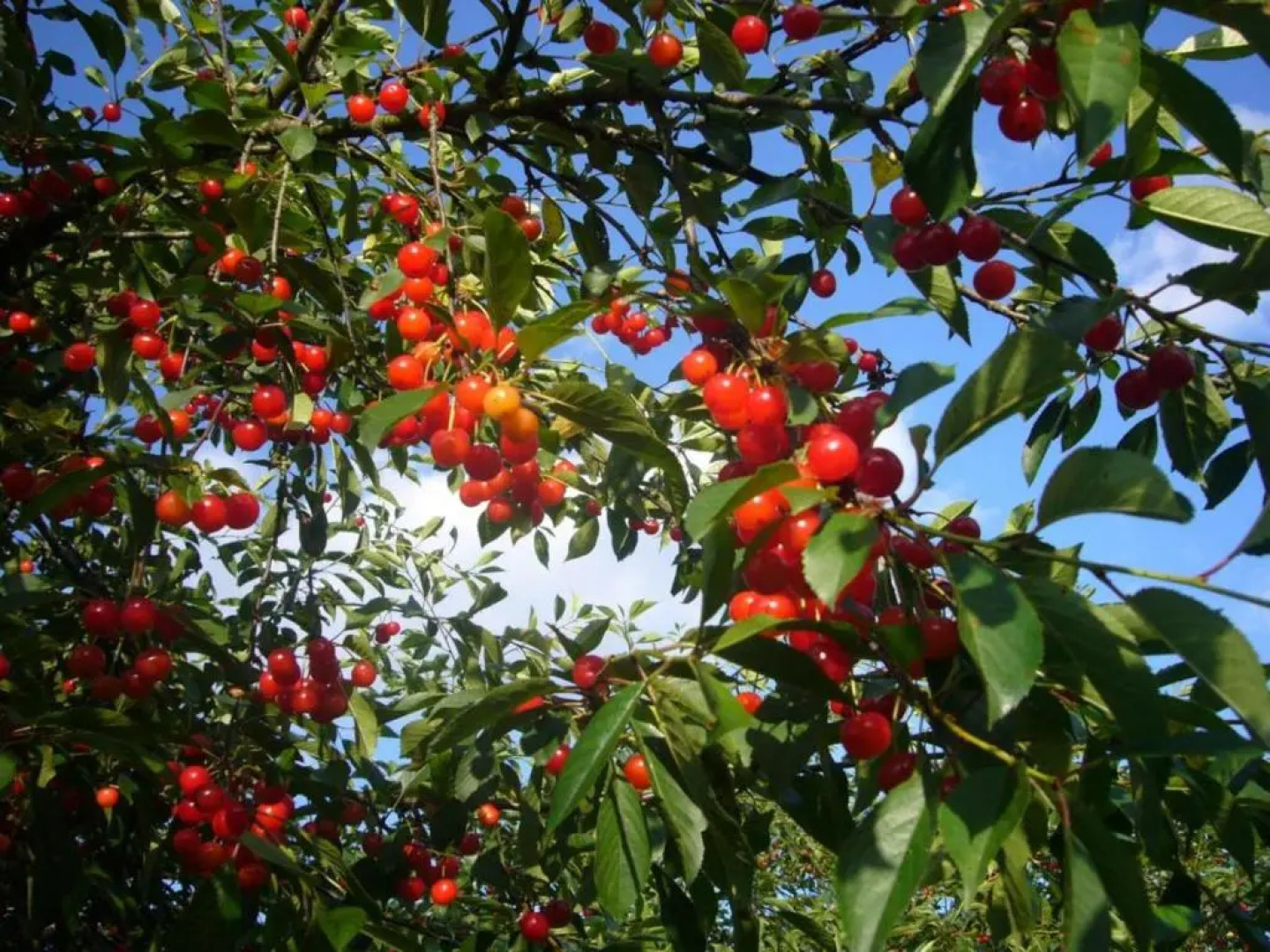 Gîte Orbigny, 4 pièces, 8 personnes - FR-1-381-199