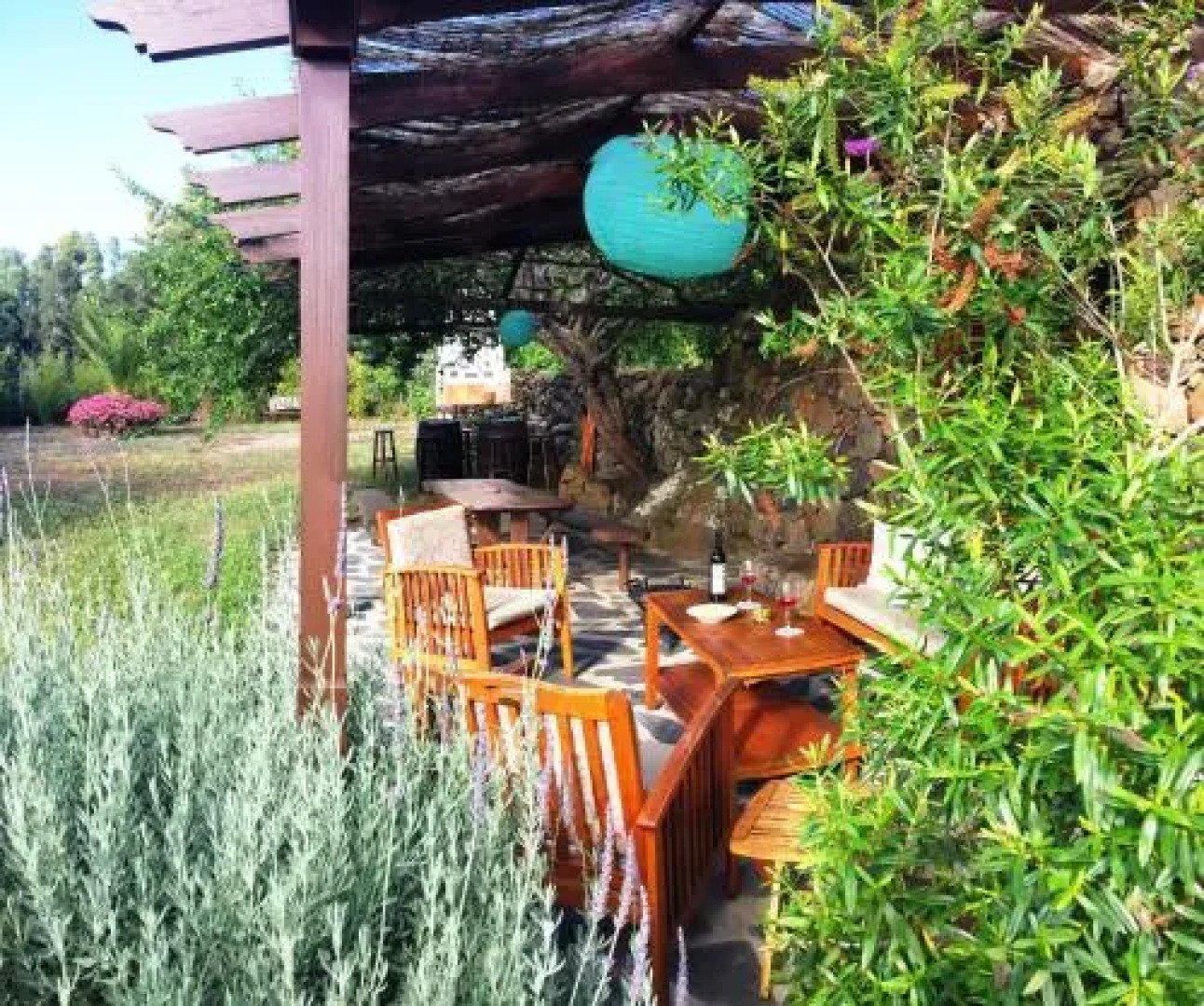 Finca San Pablo Icod de los Vinos