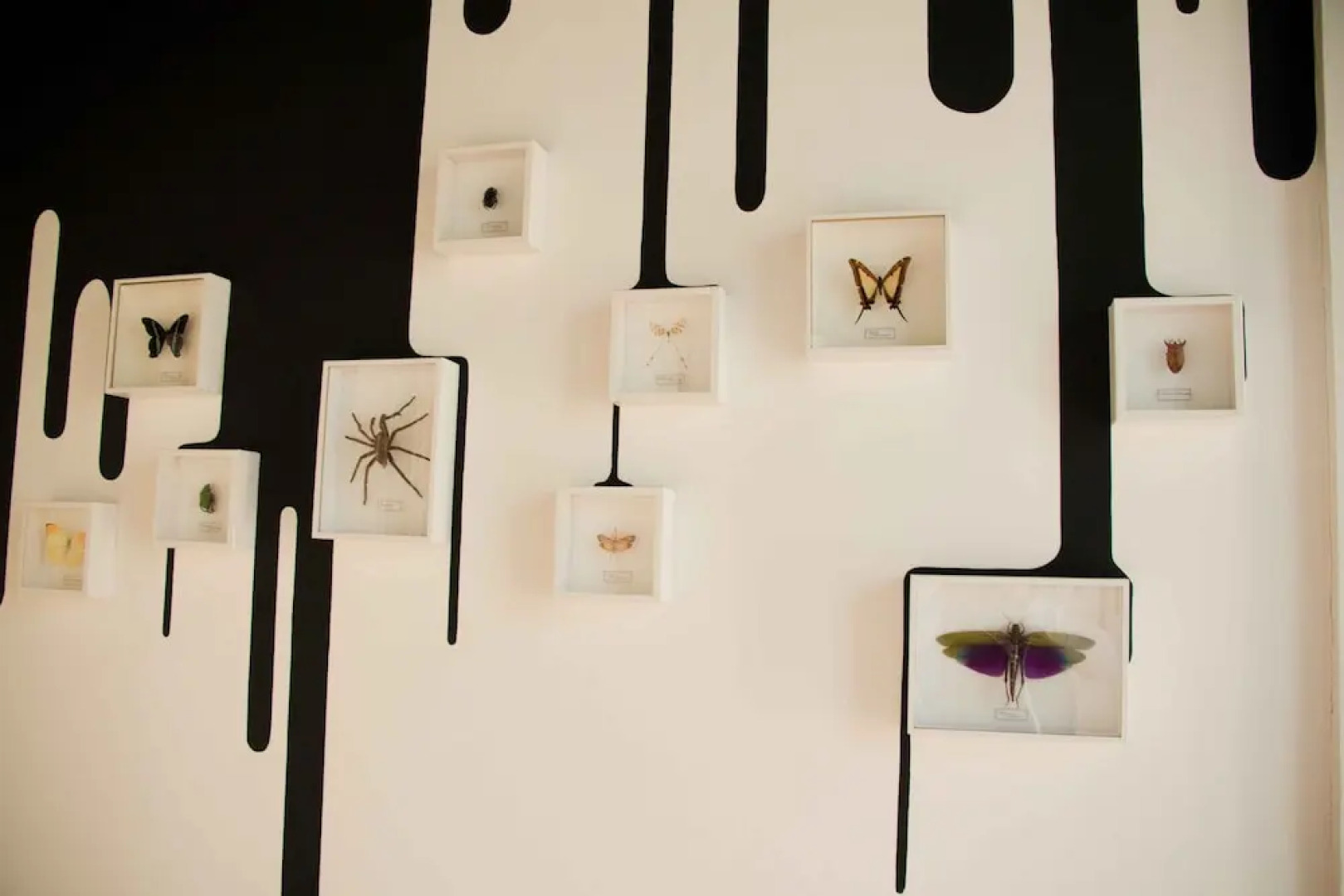 SURPRENANTES - Château du Pé