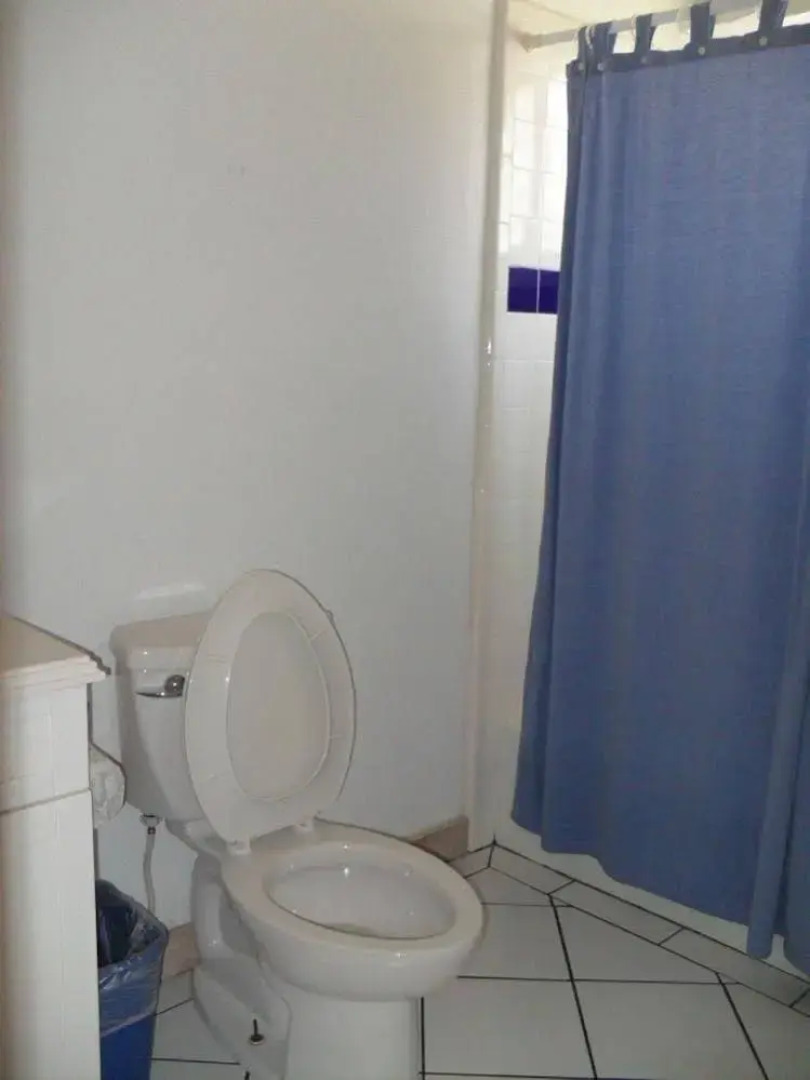 Inner Island Condos by Island Services