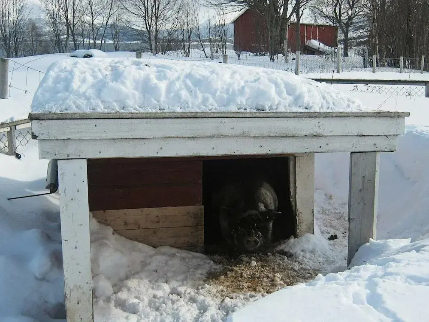 Three-Bedroom Holiday Home in Hamnvik 1