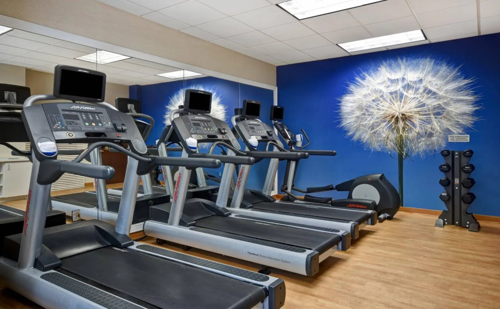 SpringHill Suites by Marriott Atlanta Buford/Mall of Georgia