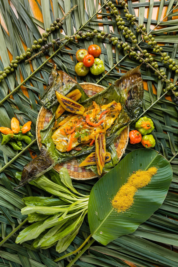 Decameron Decalodge Ticuna