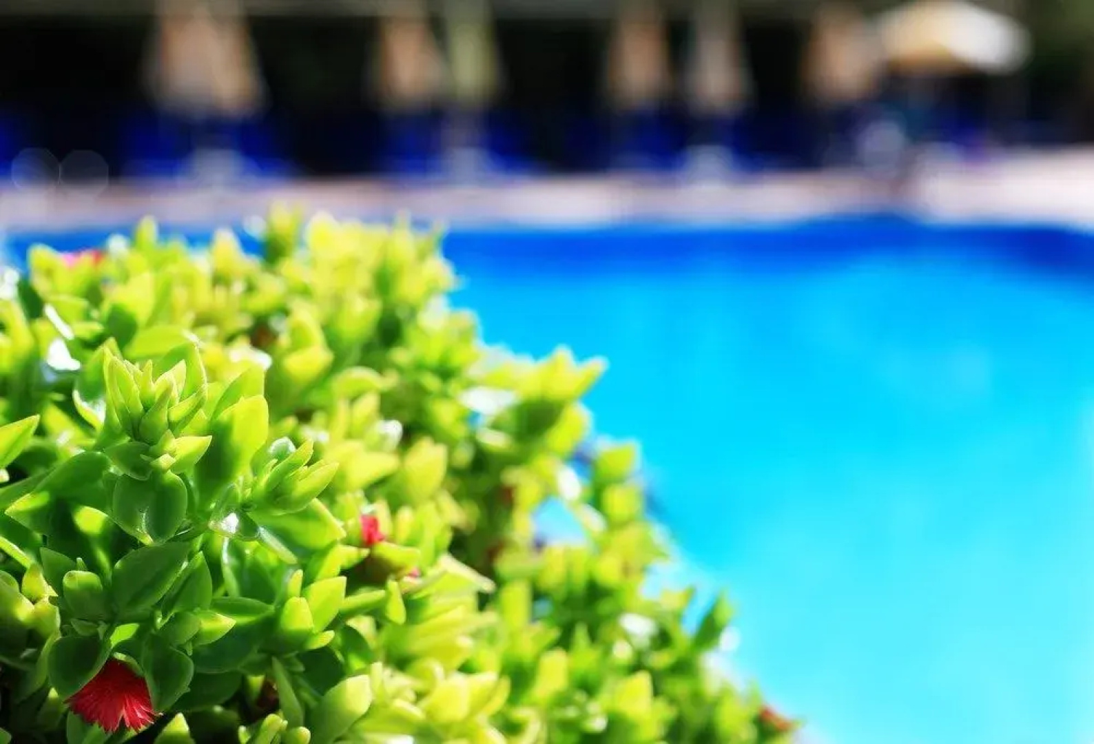 Santa Marina Resort