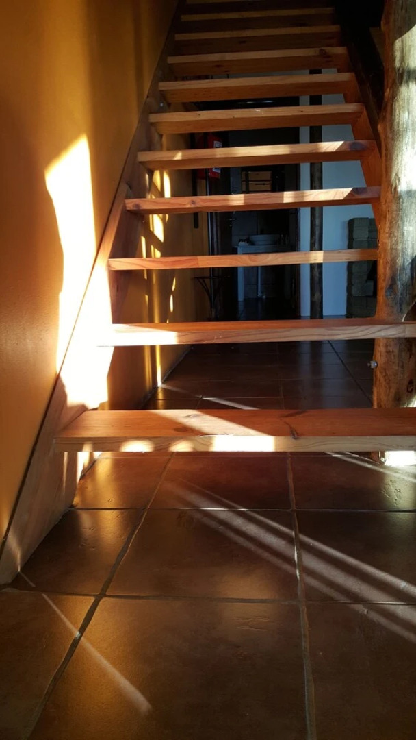 LIONSROCK Big Cat Sanctuary